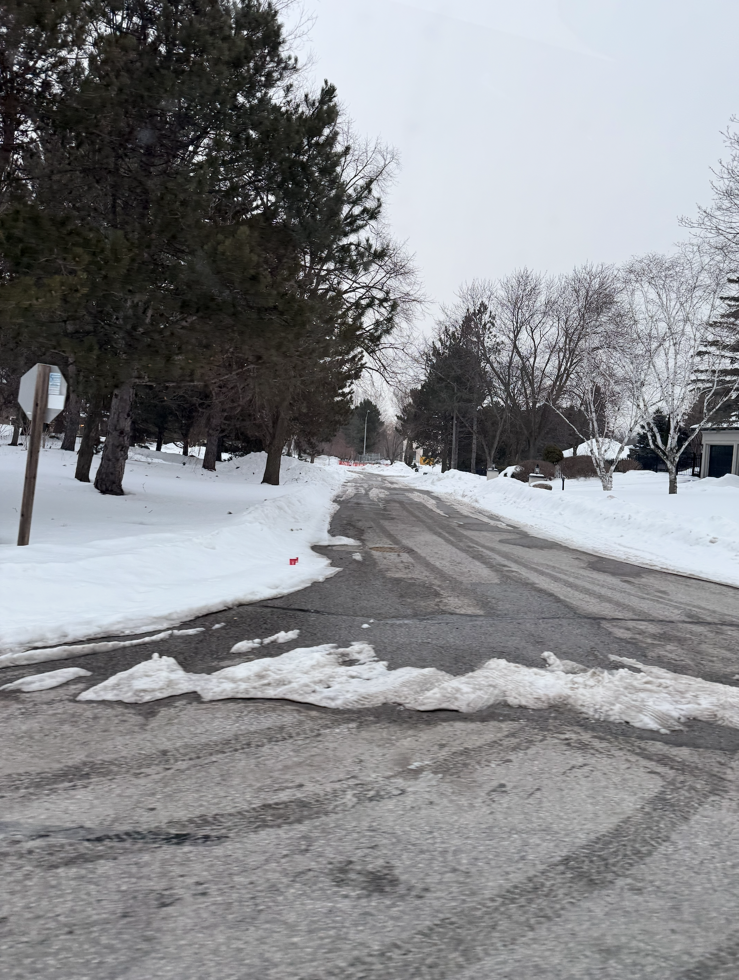 Screenshot 2026-02-17 at 1.13.12 PM.png