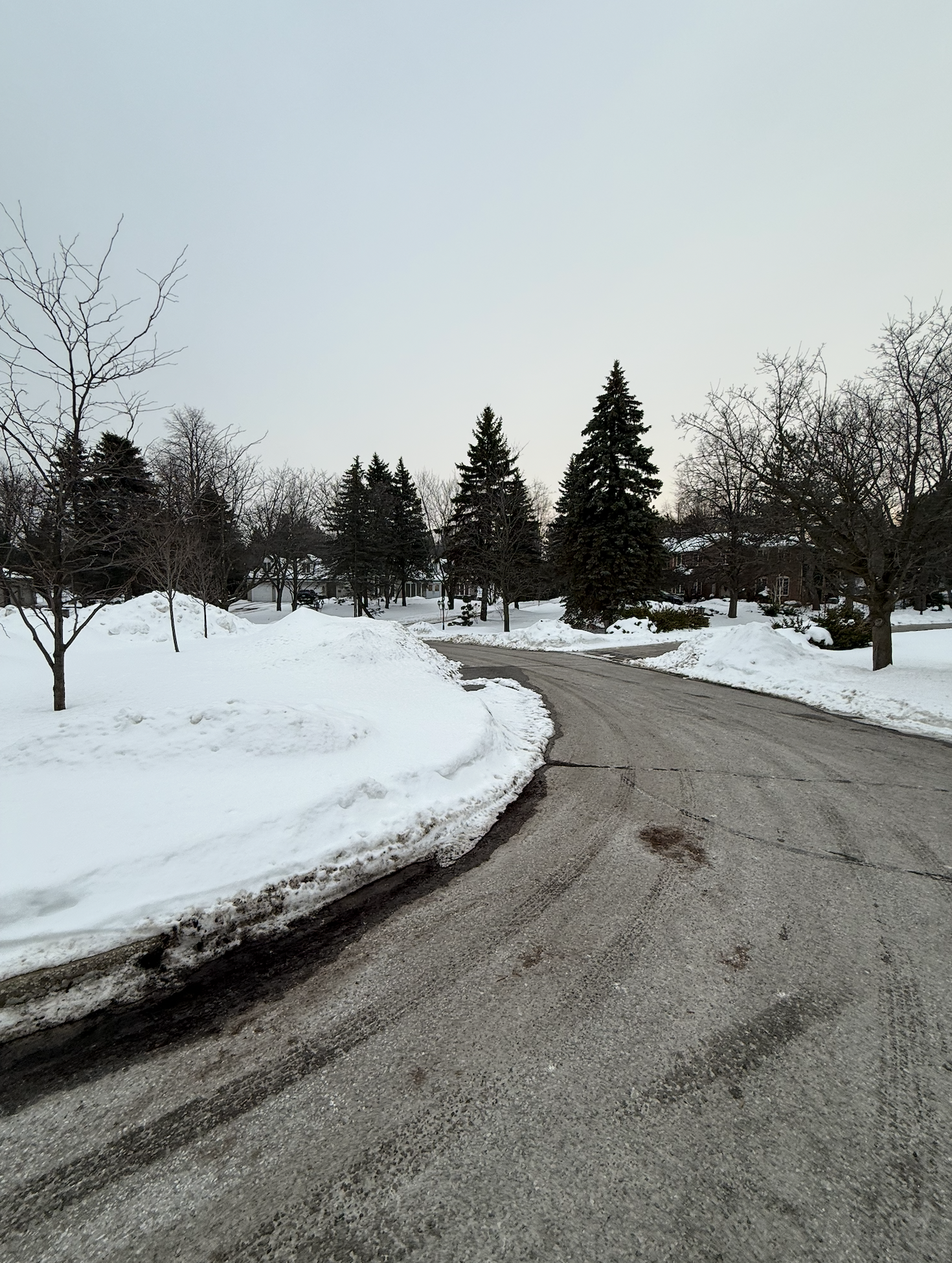 Screenshot 2026-02-17 at 1.13.30 PM.png