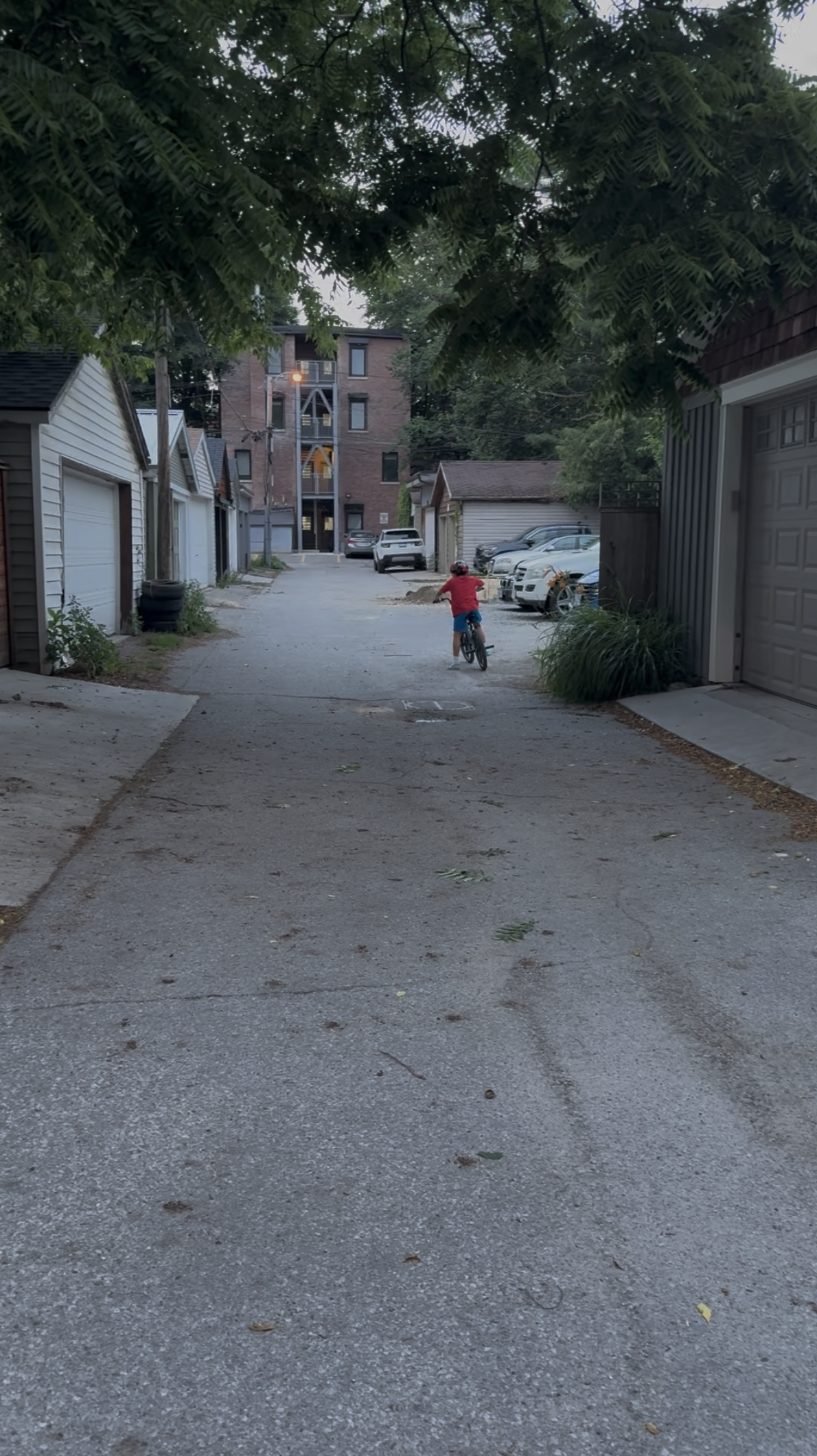 Screenshot 2026-02-17 at 1.24.56 PM.png