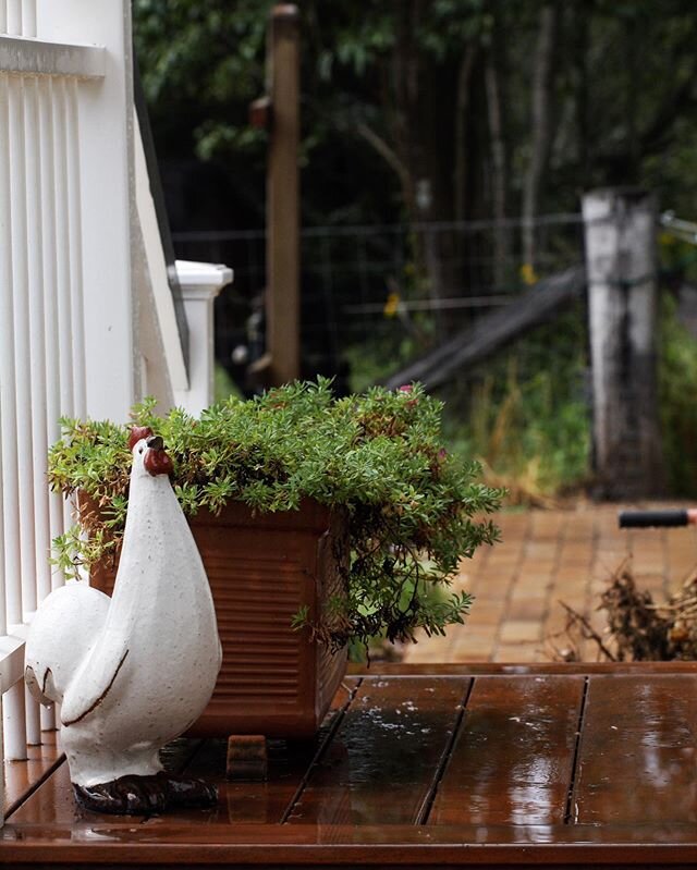 A little bit more rain is welcome here. We love getting just that bit extra before winter sets in. To me there&rsquo;s nothing more satisfying then long warm showers/baths on cold mornings.