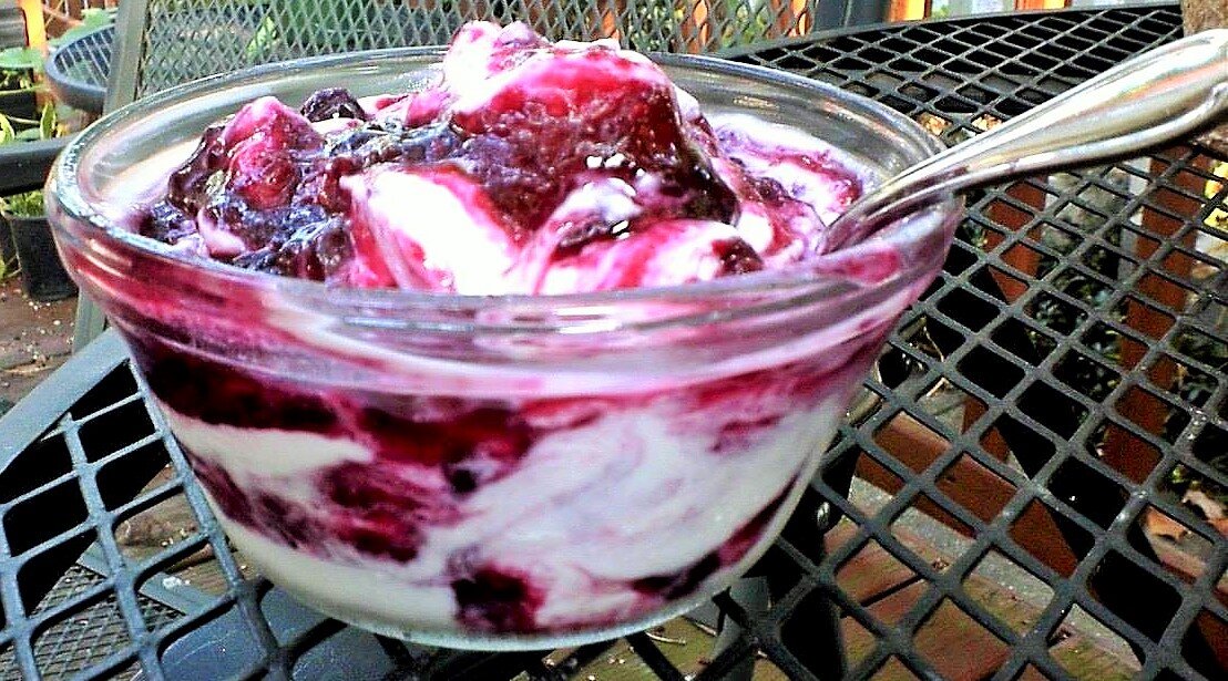 Threeberry Yogurt  Cropped.jpg