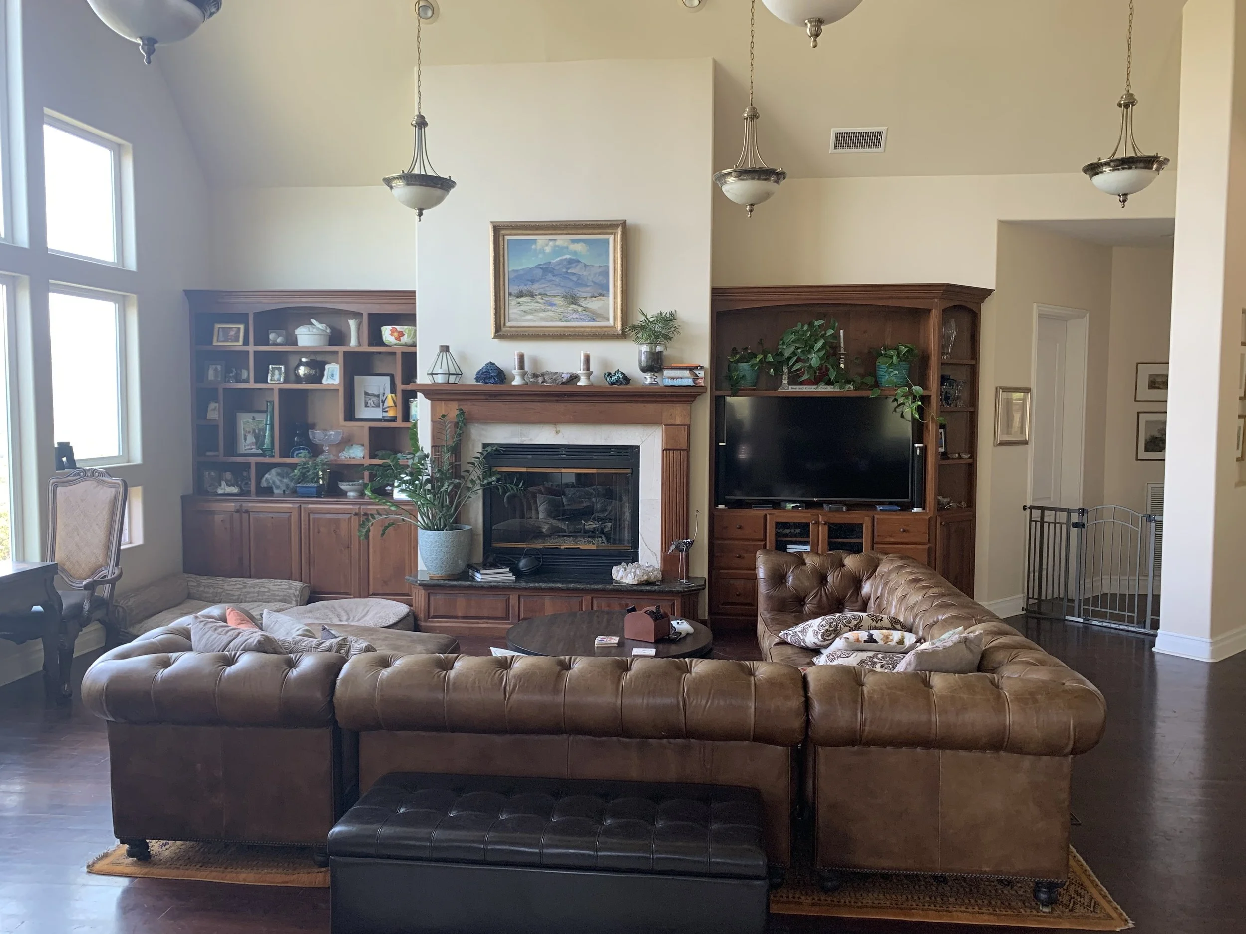 IMG_4443.jpeg