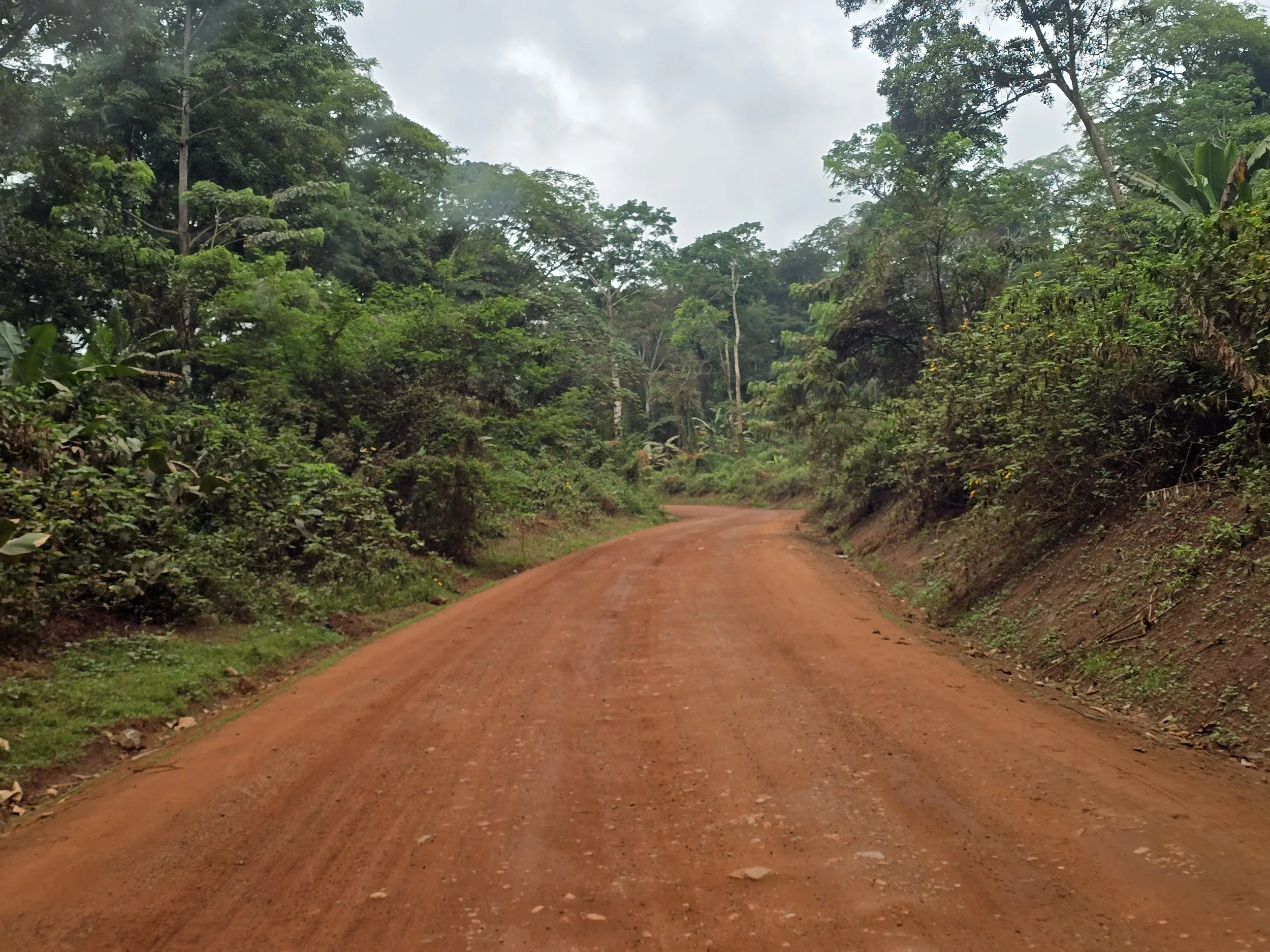 Near Yokadouma, Cameroon.jpg