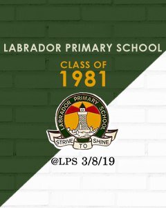 Labrador Primary School 50th Bash