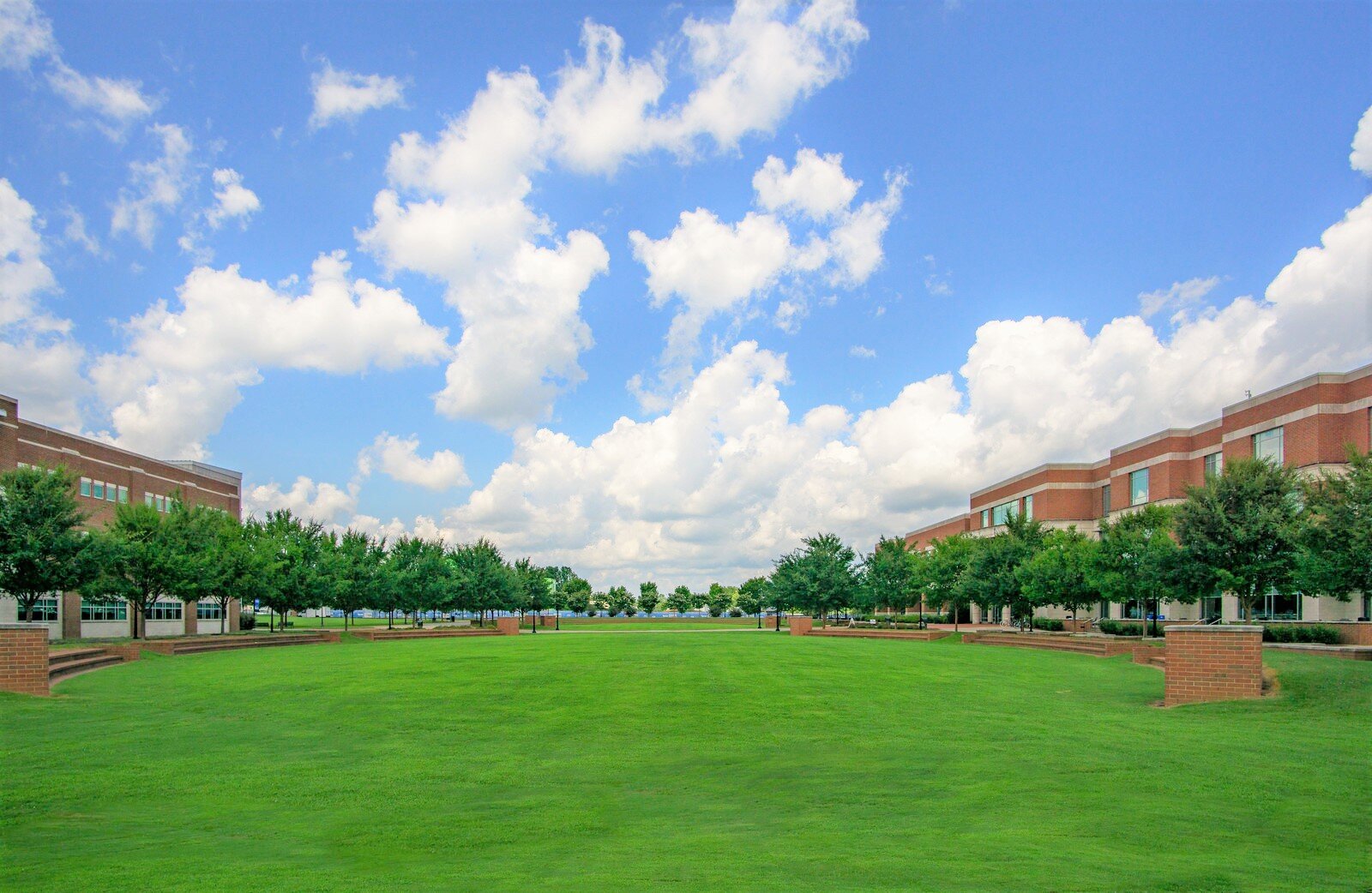 middle-tennessee-state-university-field.jpg