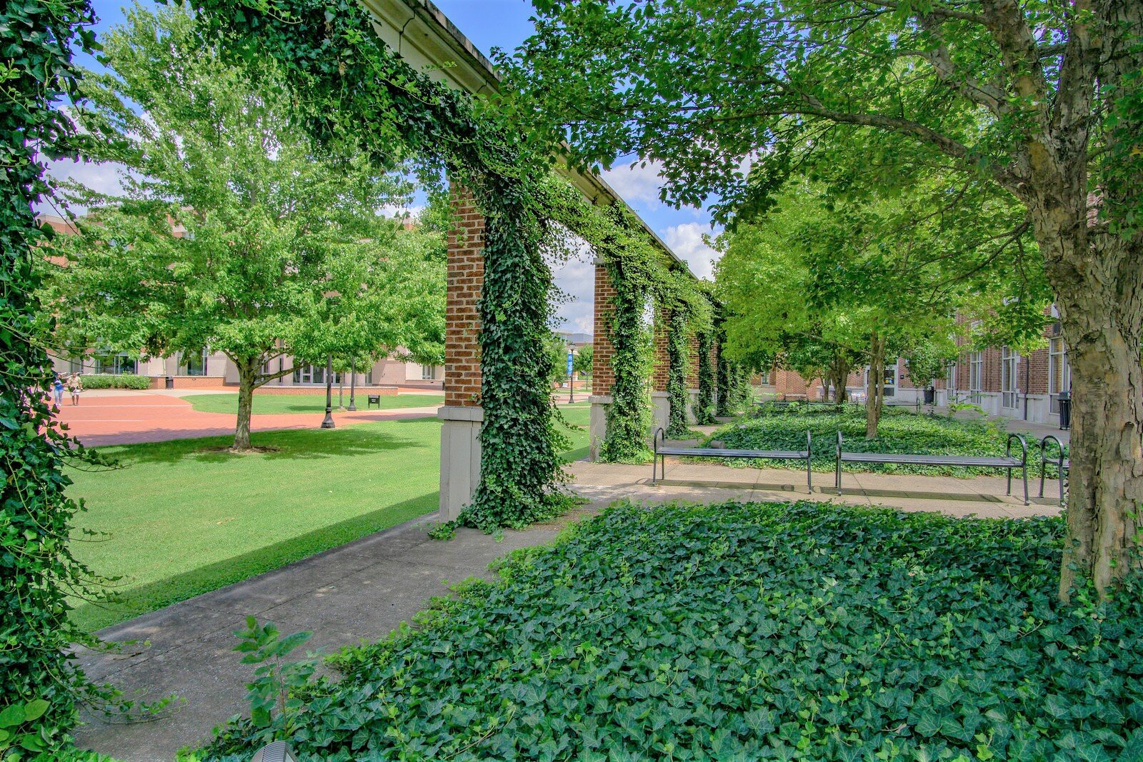 middle-tennessee-state-university-greenery-pathwalk.jpg