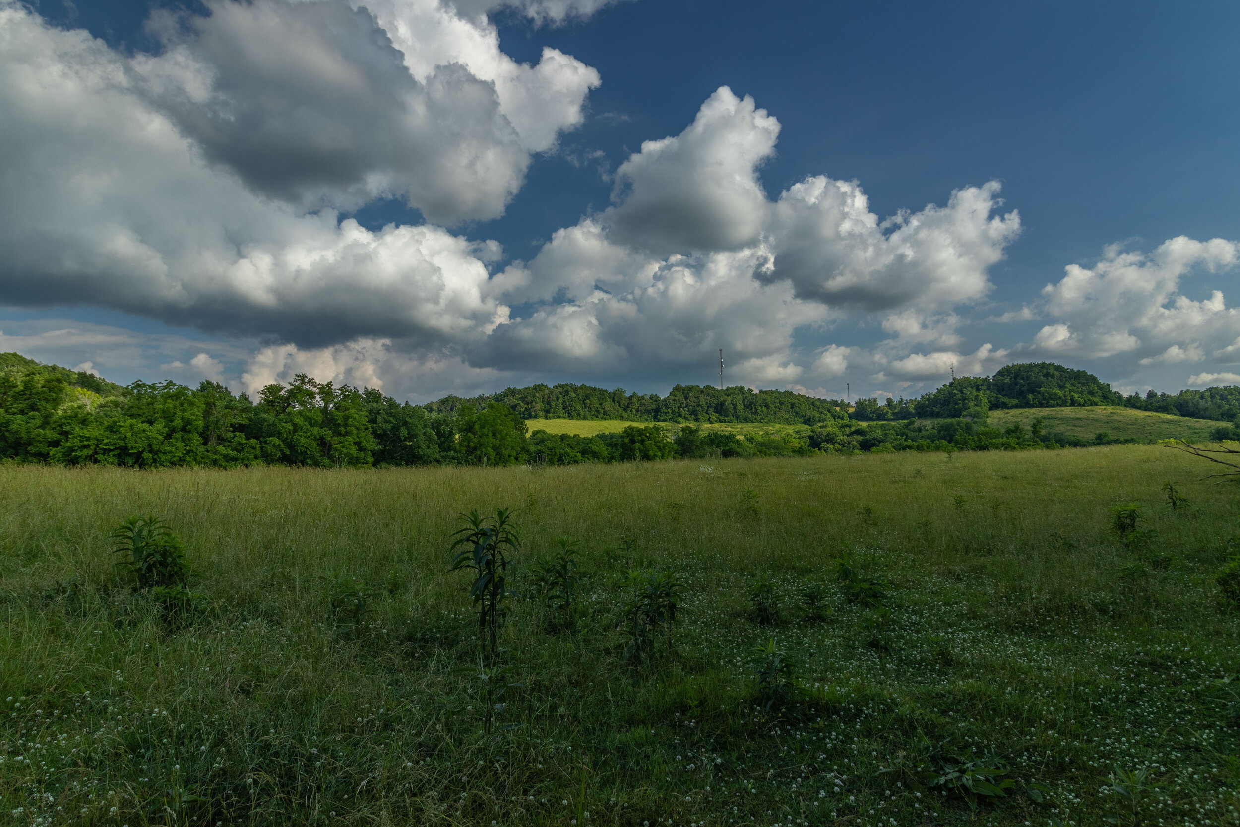 2198 Firetower Rd Lewisburg, TN-2.jpg