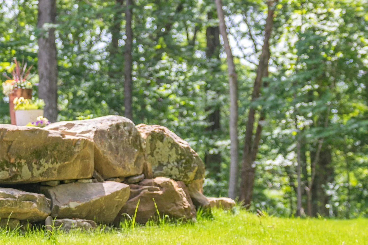 193-912 Mount Pleasant Rd Kingston Springs TN - 70mm - 200mm-96.jpg