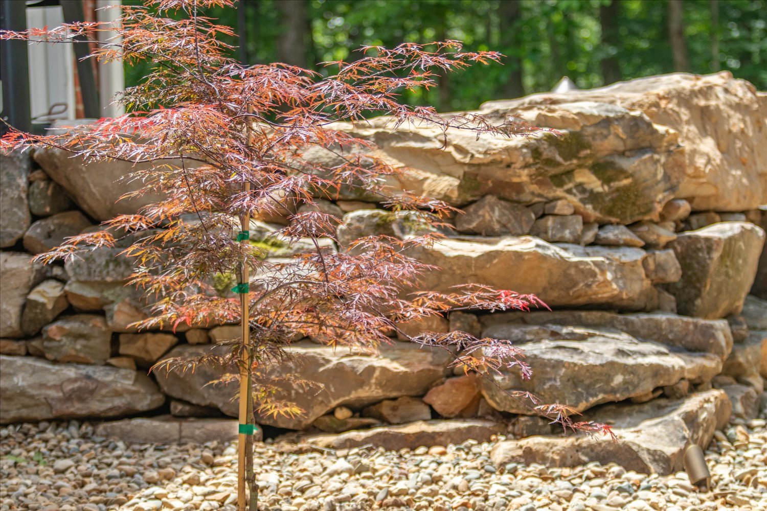 156-912 Mount Pleasant Rd Kingston Springs TN - 70mm - 200mm-59.jpg