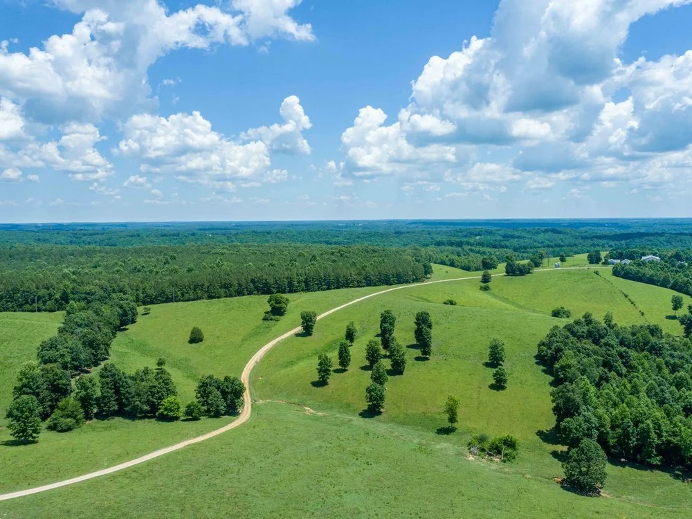 Aerial view of green rolling hills with scattered trees and a dirt path under a partly cloudy blue sky.