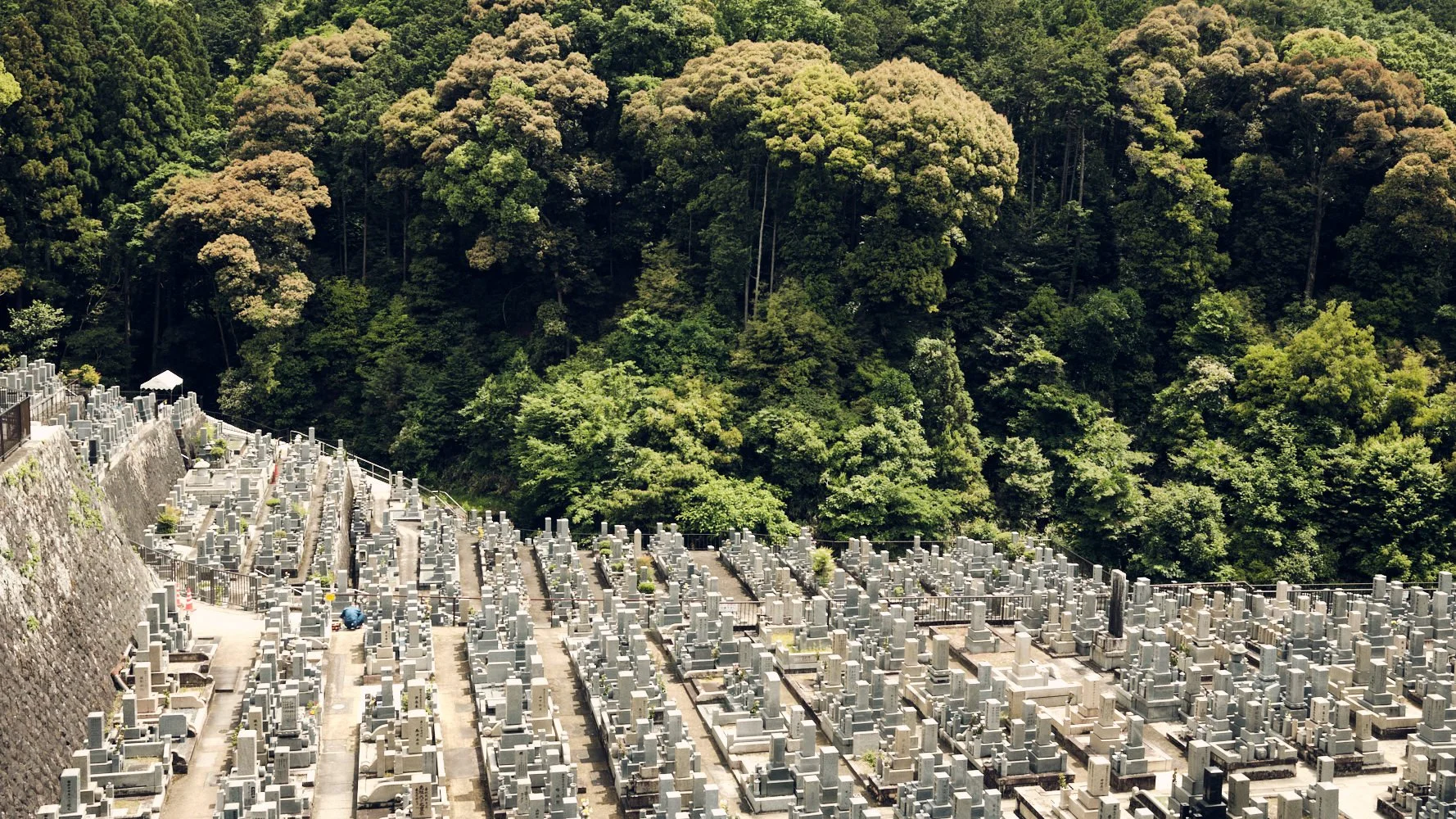 _DSF7254Japan.jpg