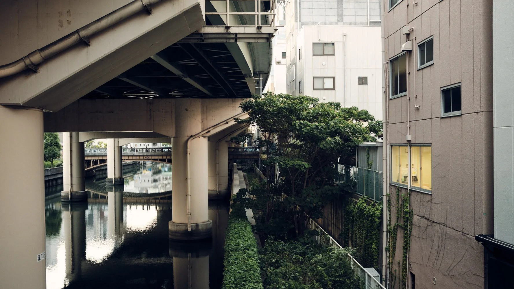 _DSF7391Japan.jpg