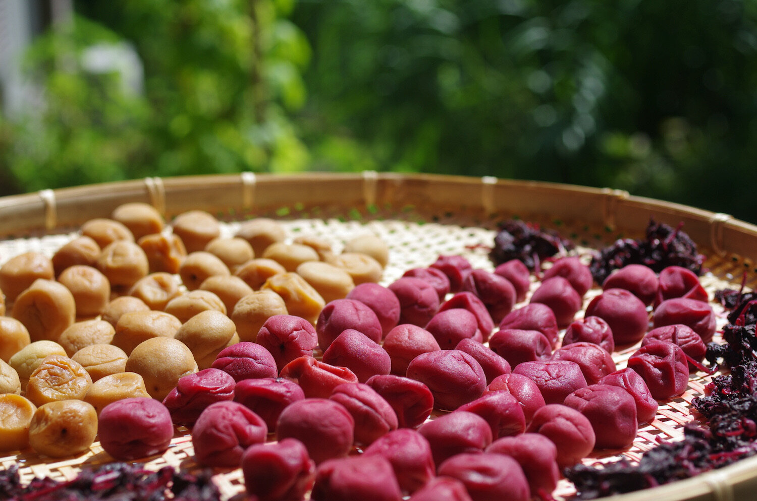 Umeboshi (plums)