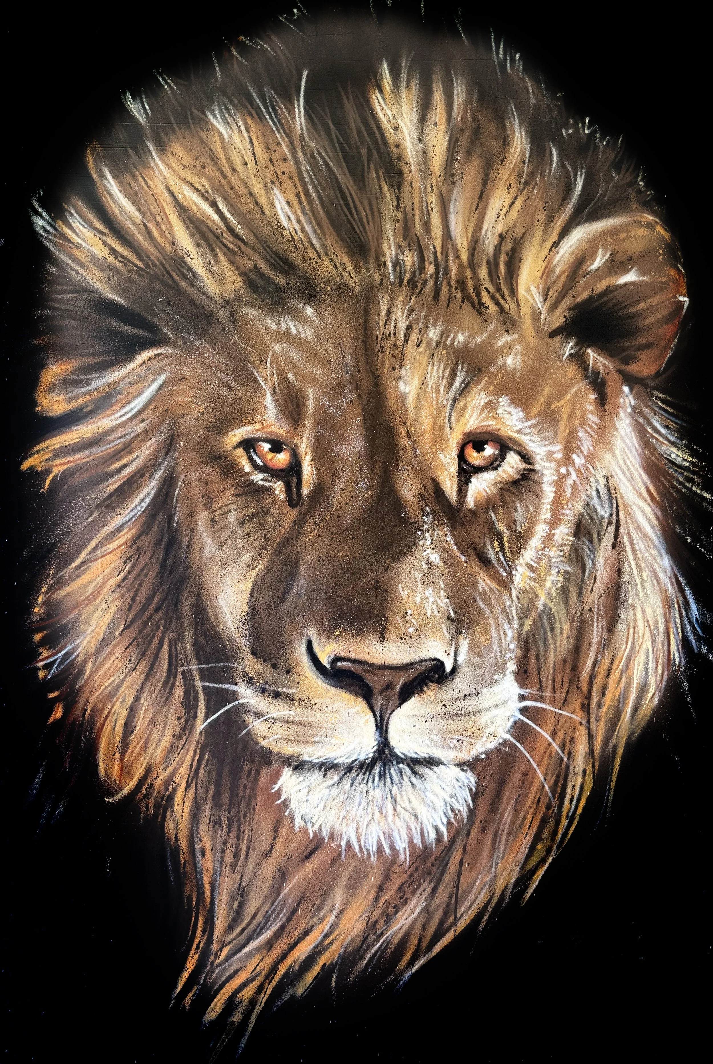 Lion of Judah copy.jpg