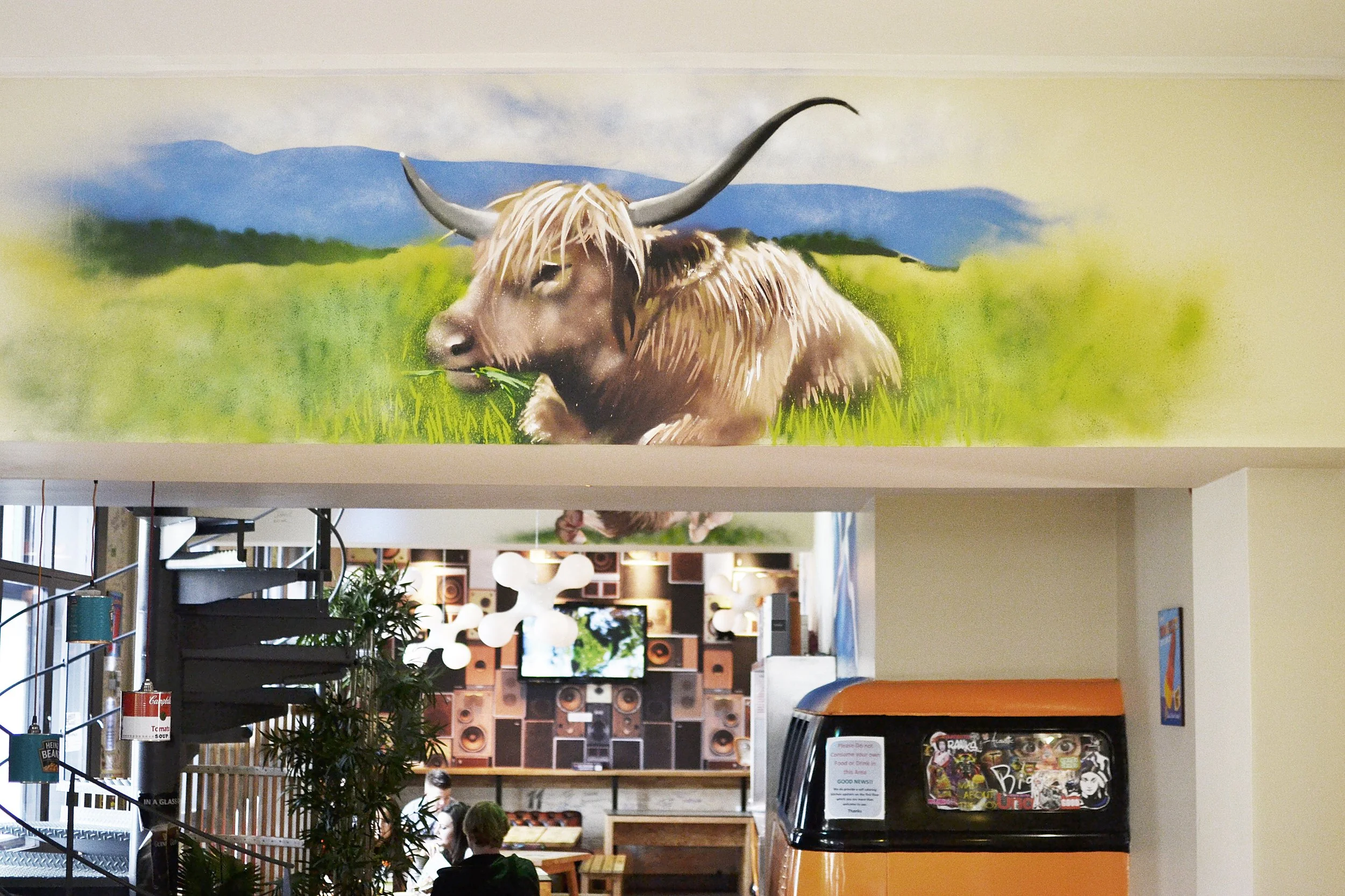 Highland cow.jpg