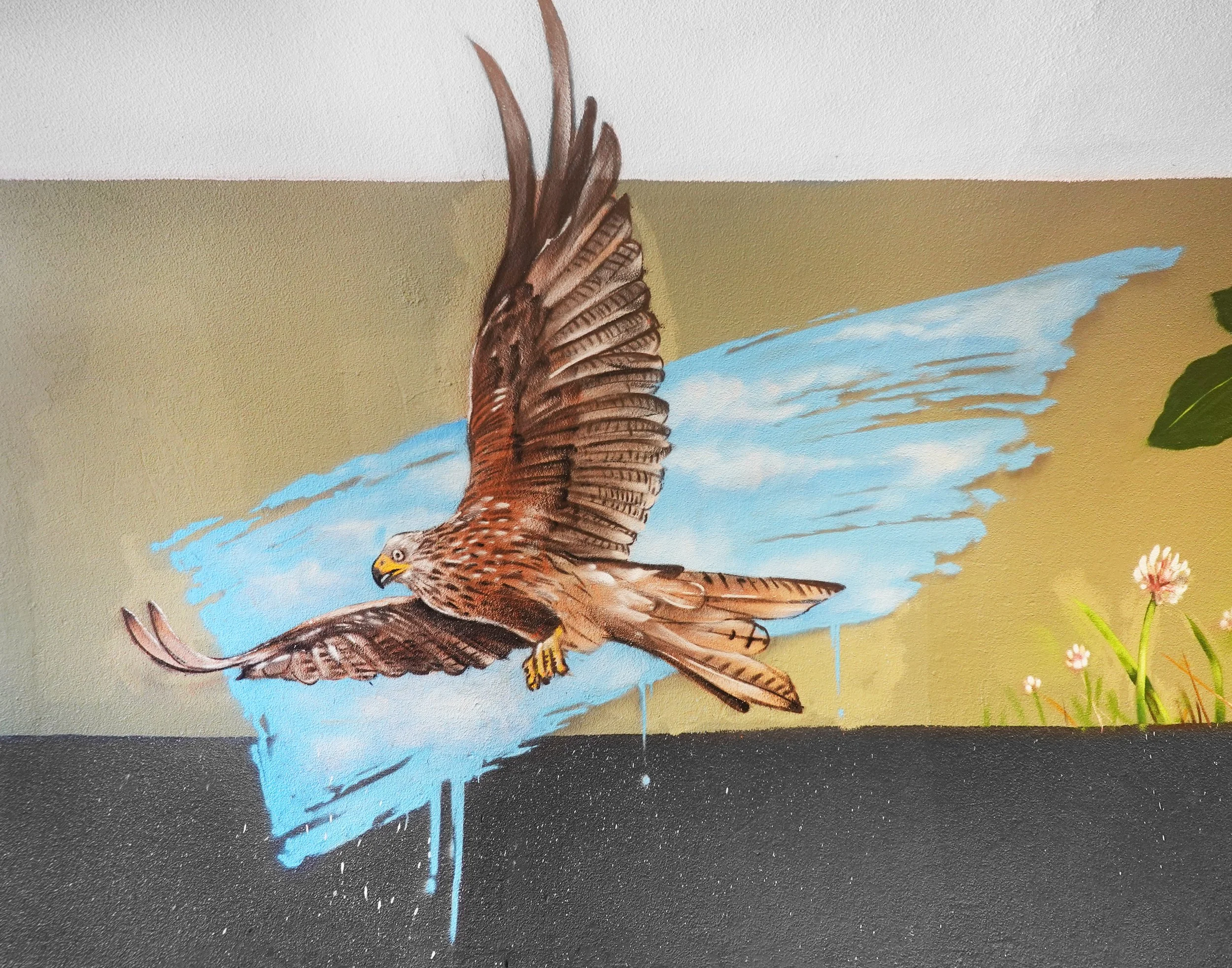 red kite.jpg
