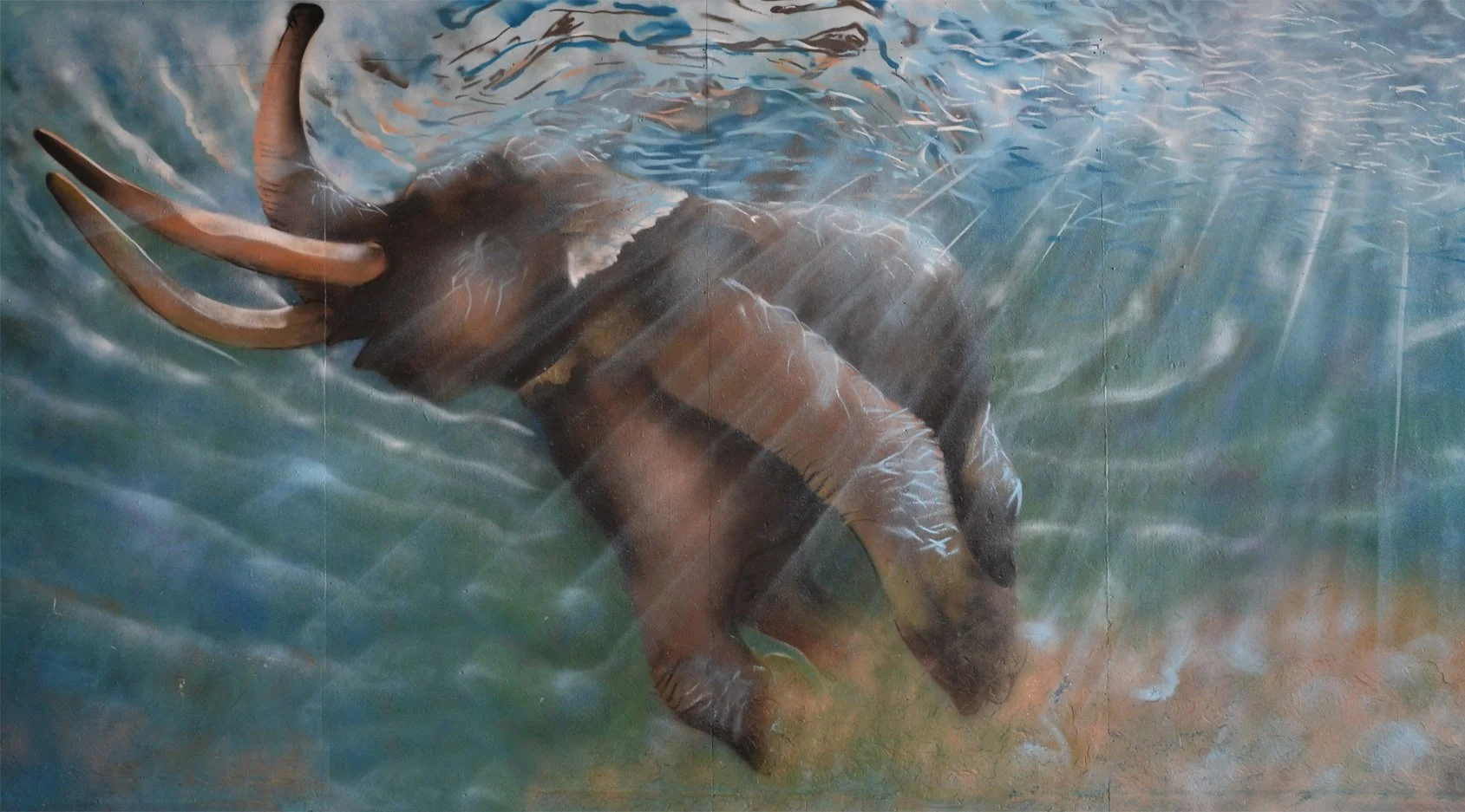 underwater elephant.jpg
