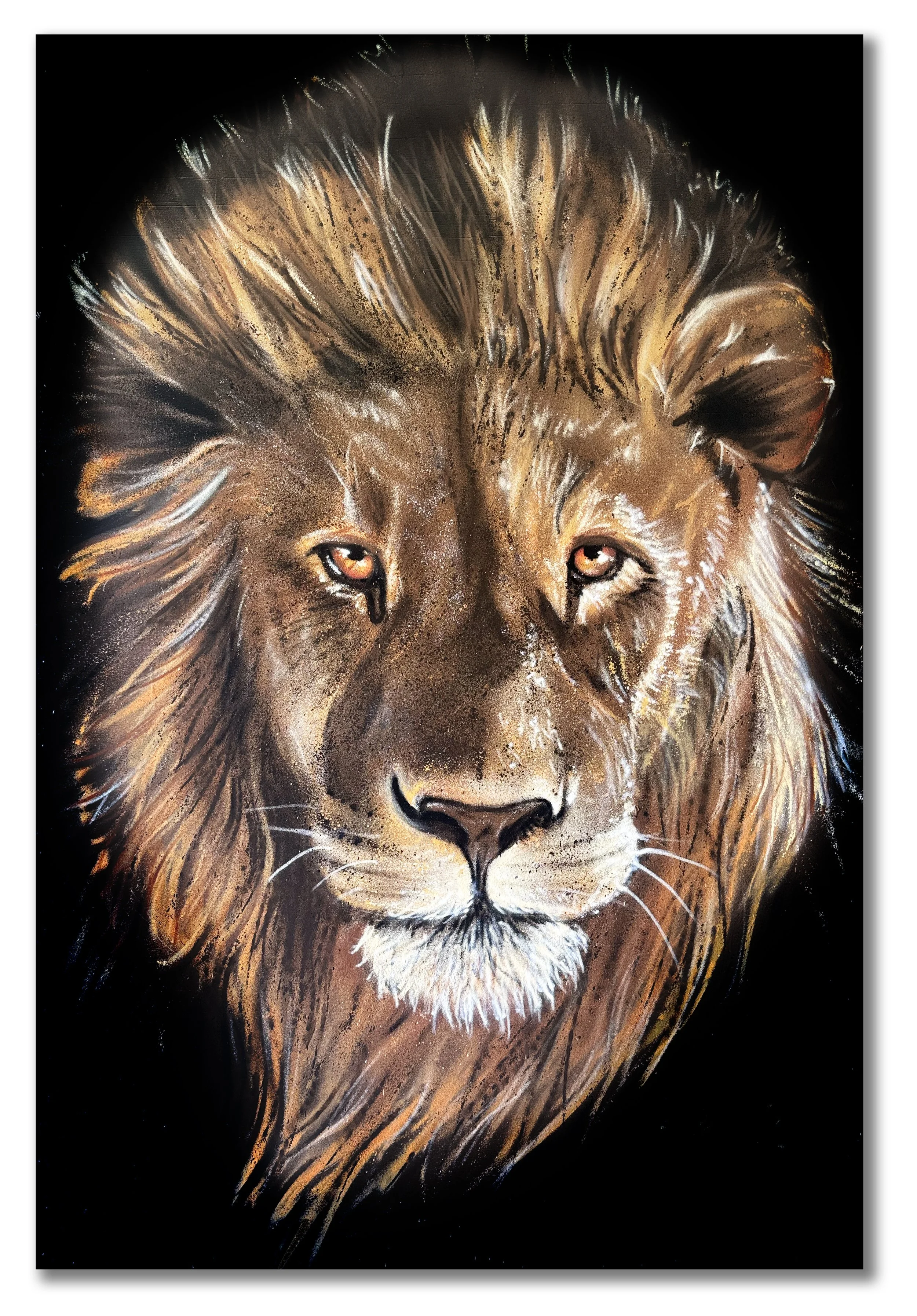 Lion of Judah canvas.jpg