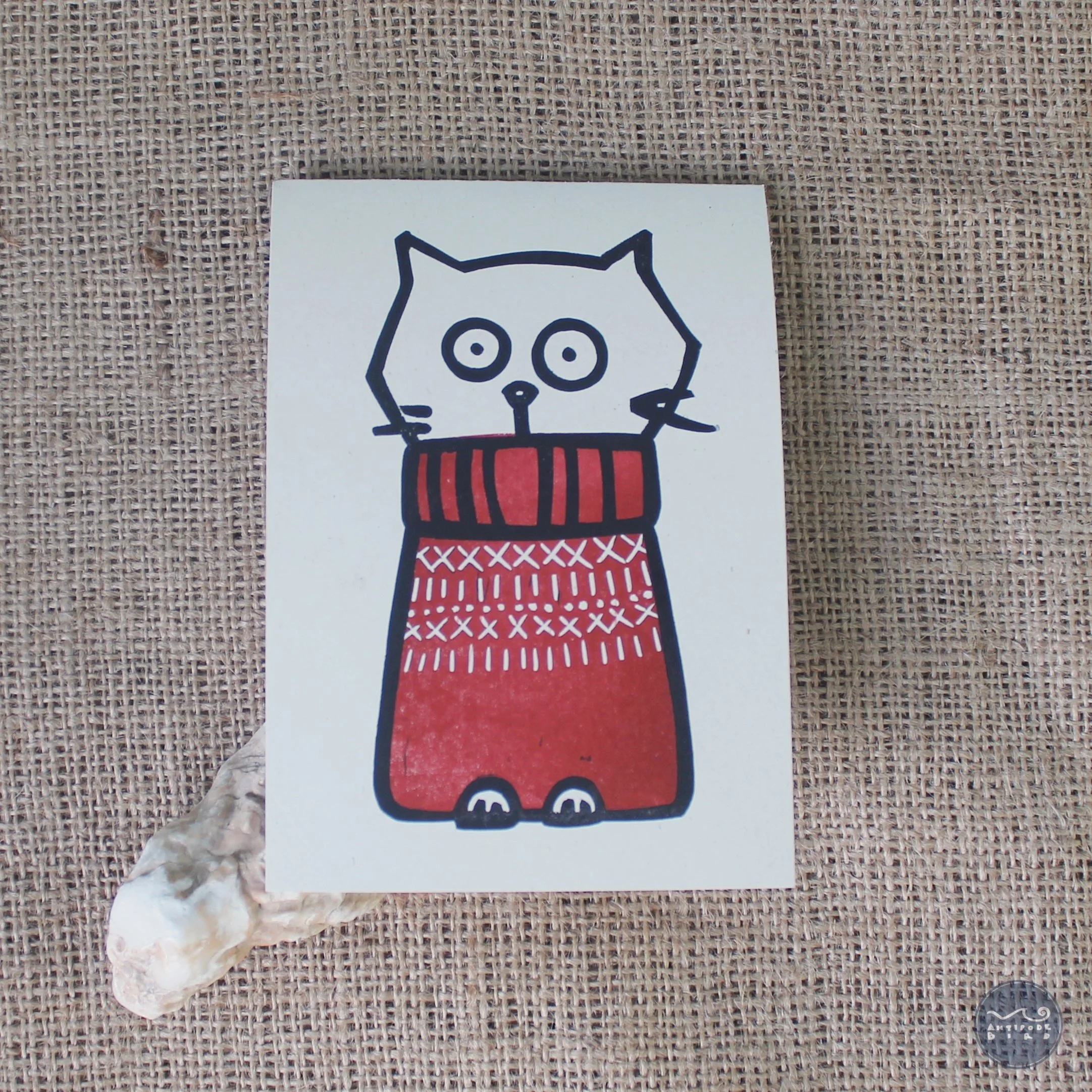 Chat d'Hiver ©AntipodeBird2023