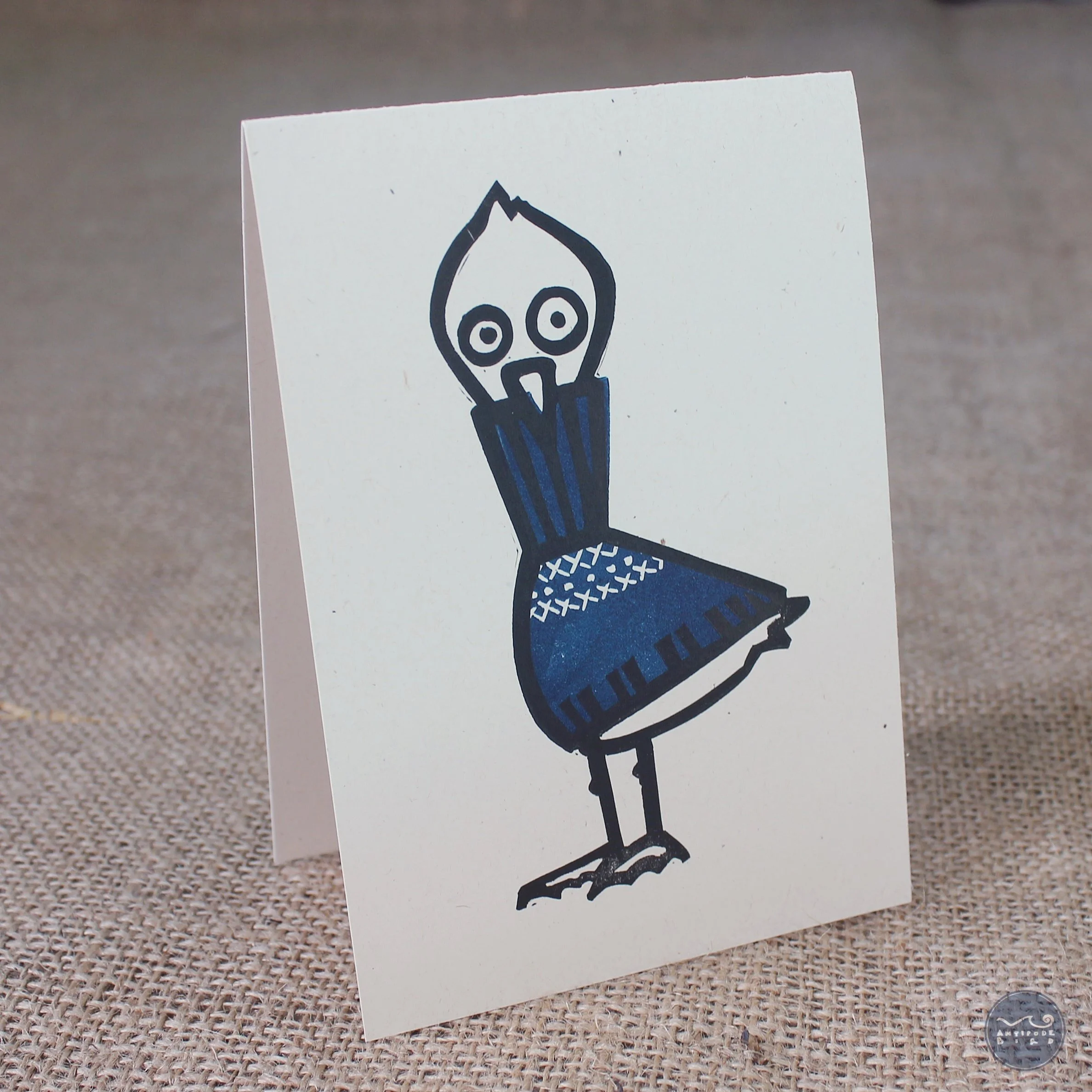 Goéland d'Hiver ©AntipodeBird2023