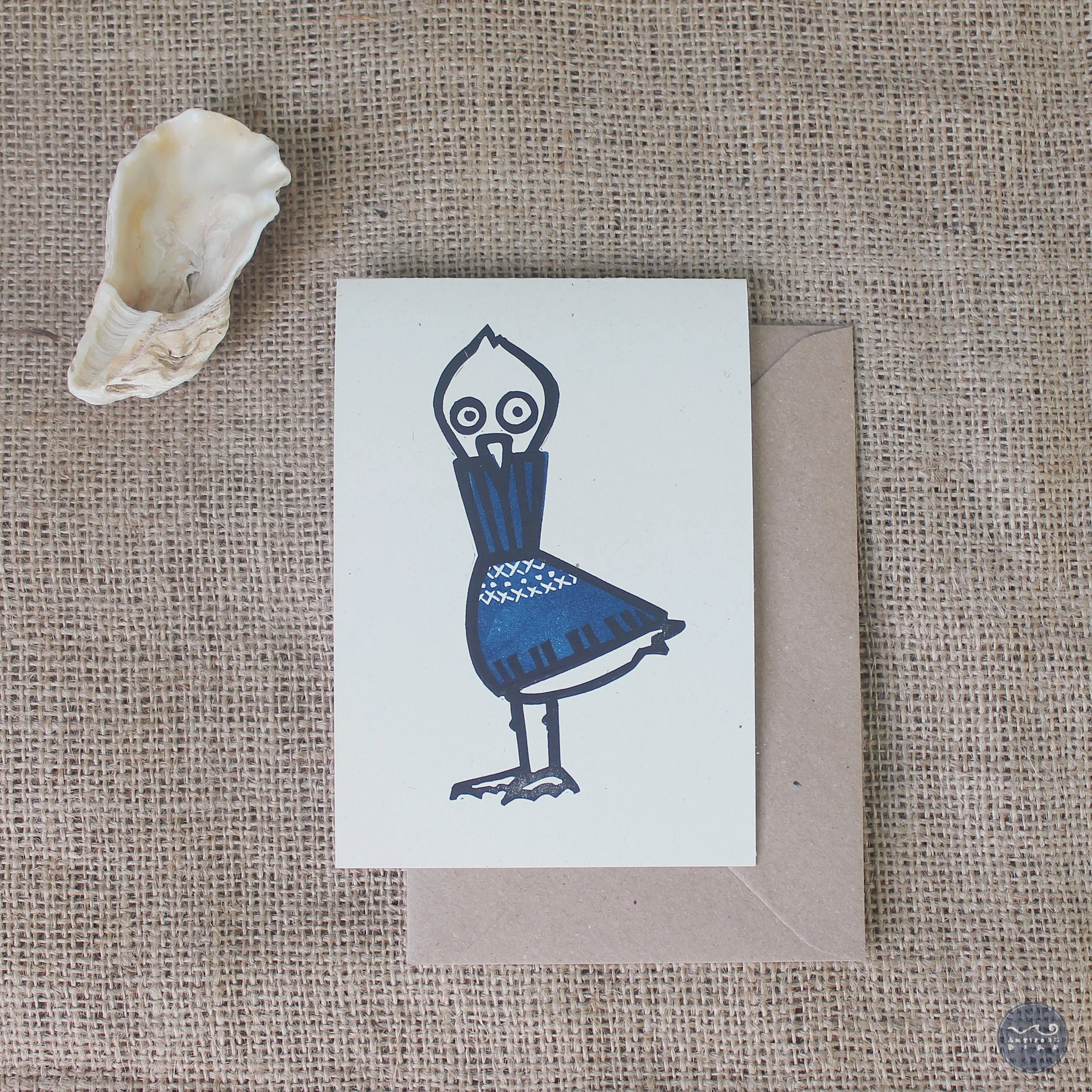 Goéland d'Hiver ©AntipodeBird2023