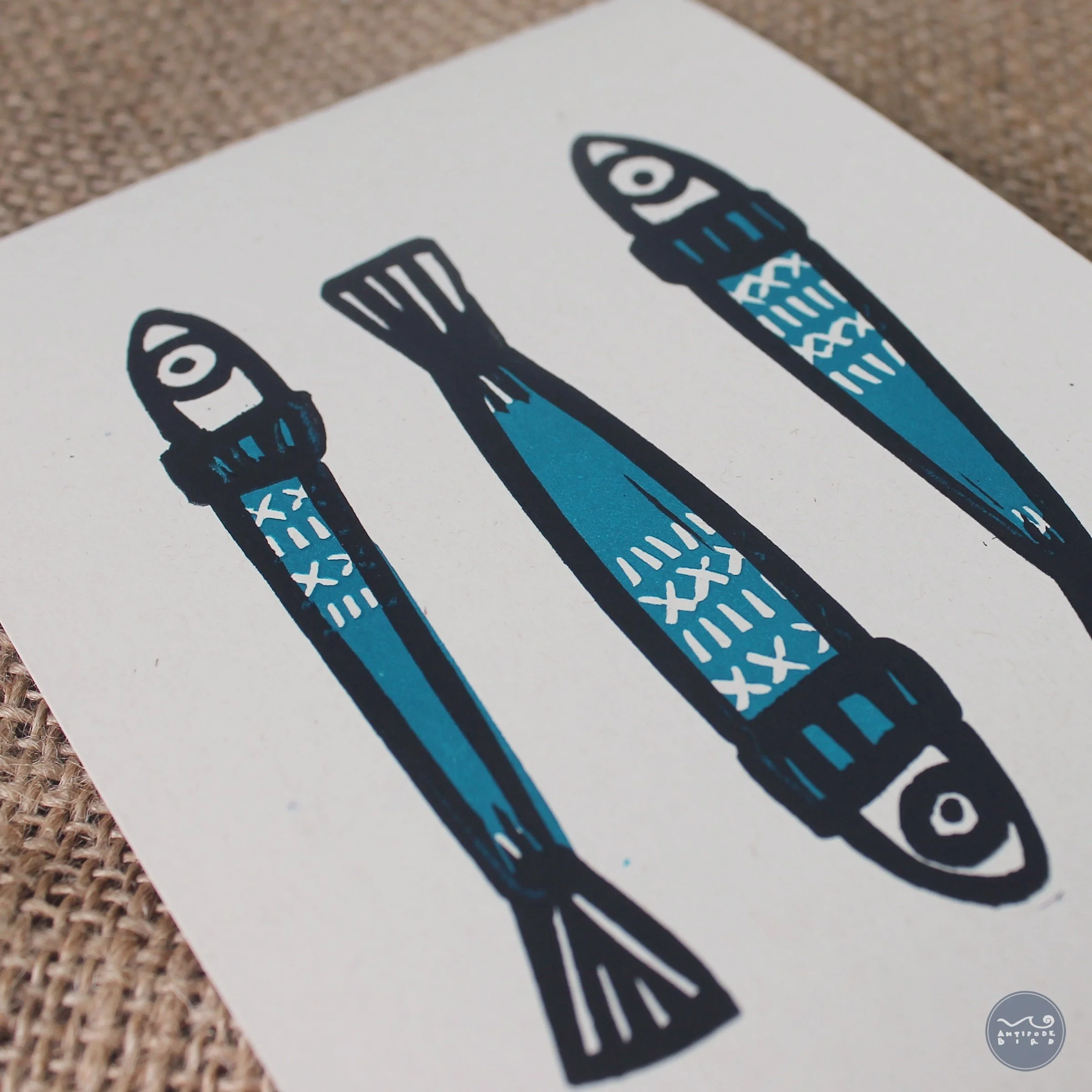 Sardines d'Hiver ©AntipodeBird2023