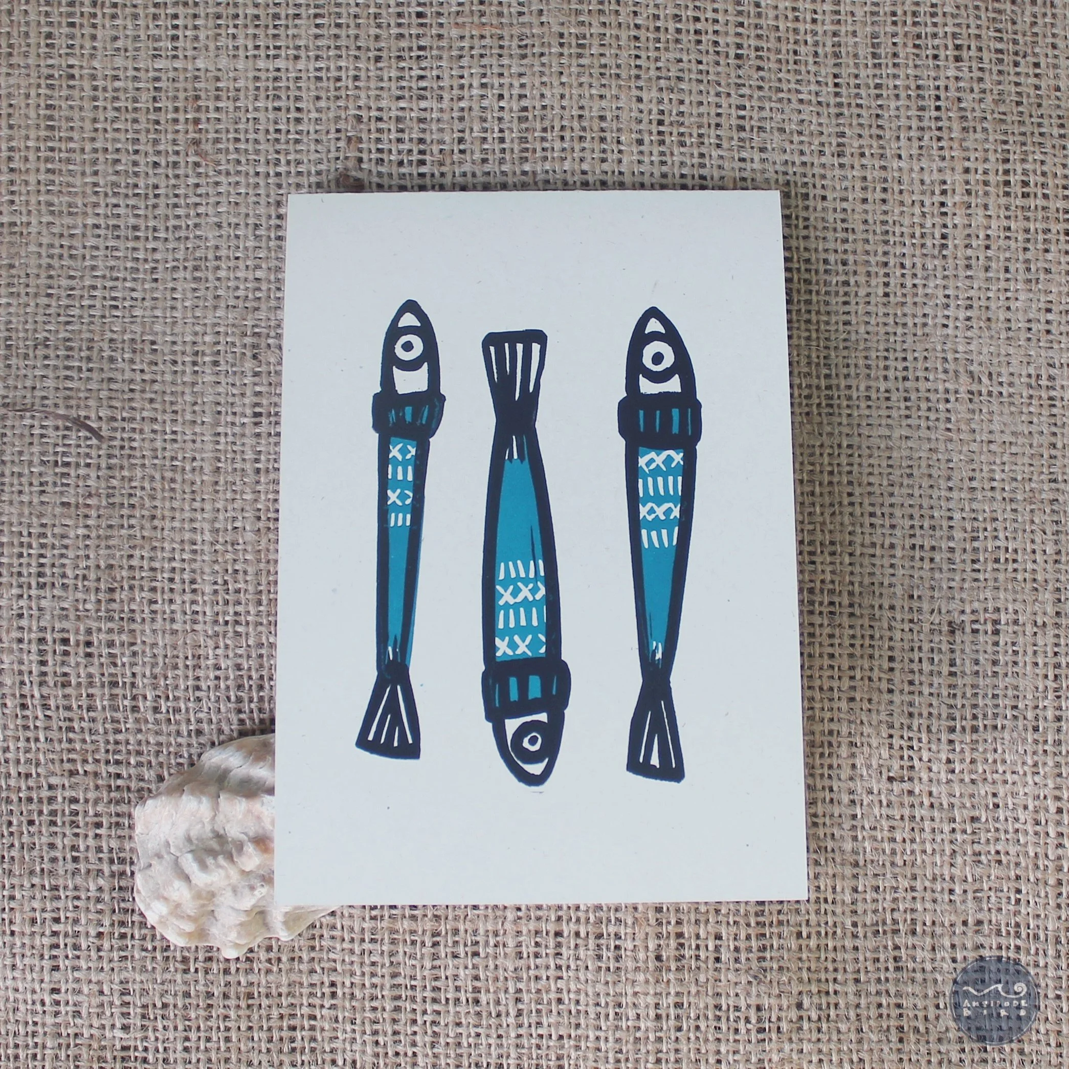 Sardines d'Hiver ©AntipodeBird2023