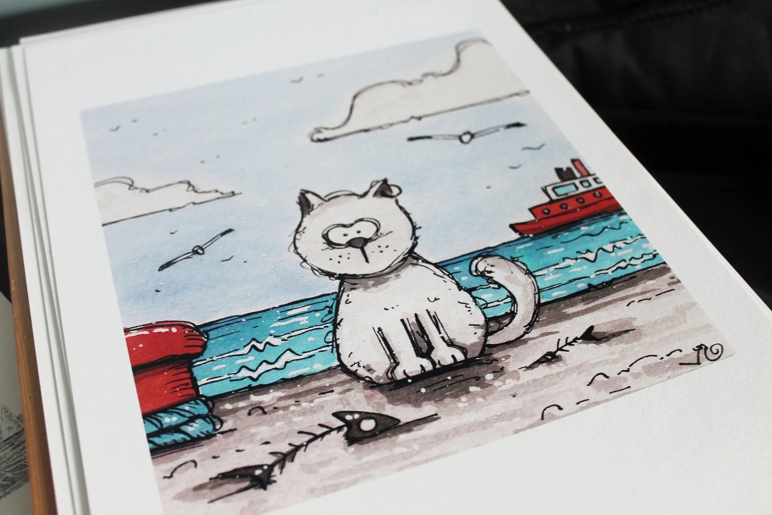 Malo-le-Mouchaillon©AntipodeBird2024 (2).JPG