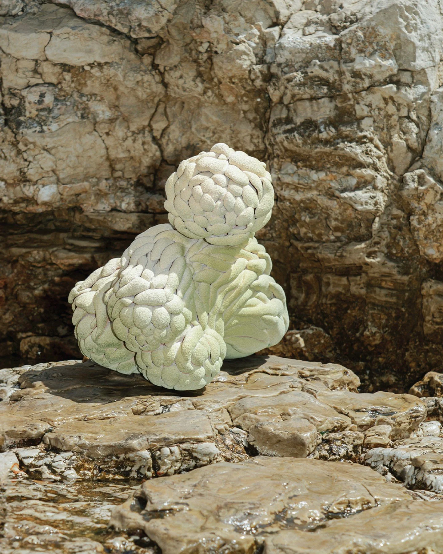 In the Heat of the Morning Shore⁠
Summer Capsule 2025⁠
🐚⁠
⁠
⁠
#capsule #gallery #collection