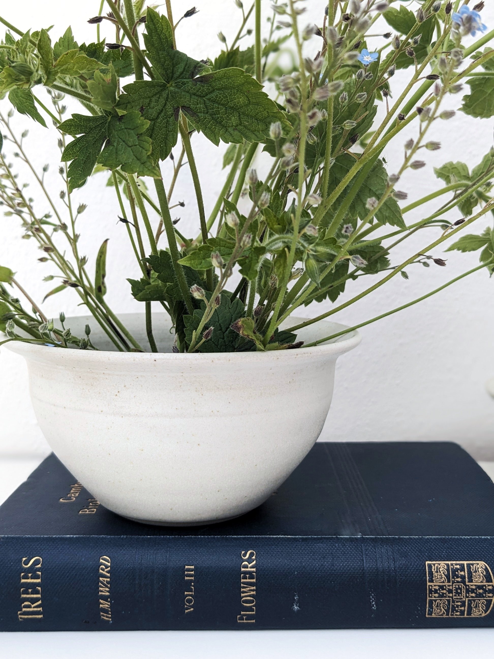 ikebana bowl.jpeg