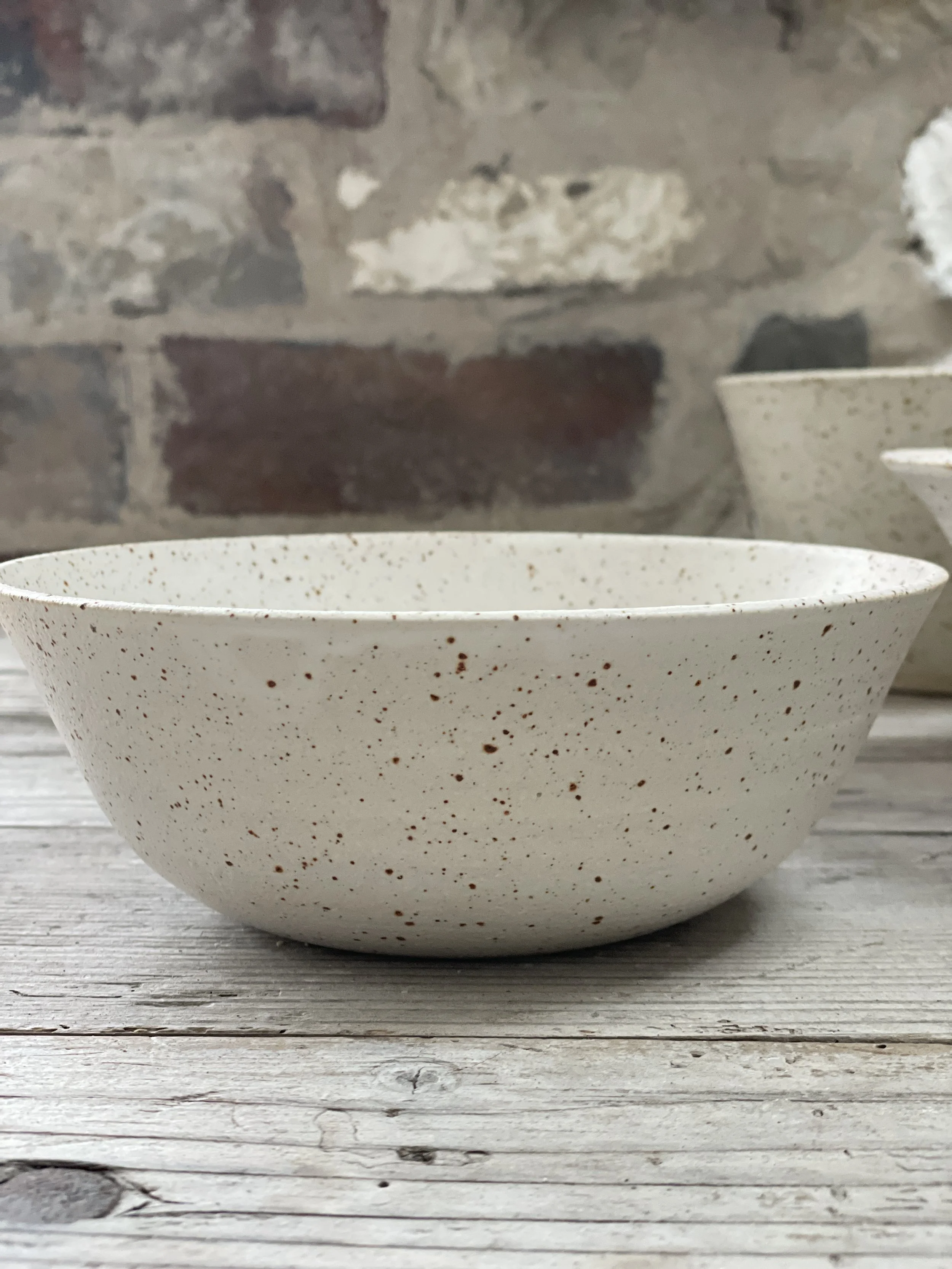 speckled bowl b.JPG