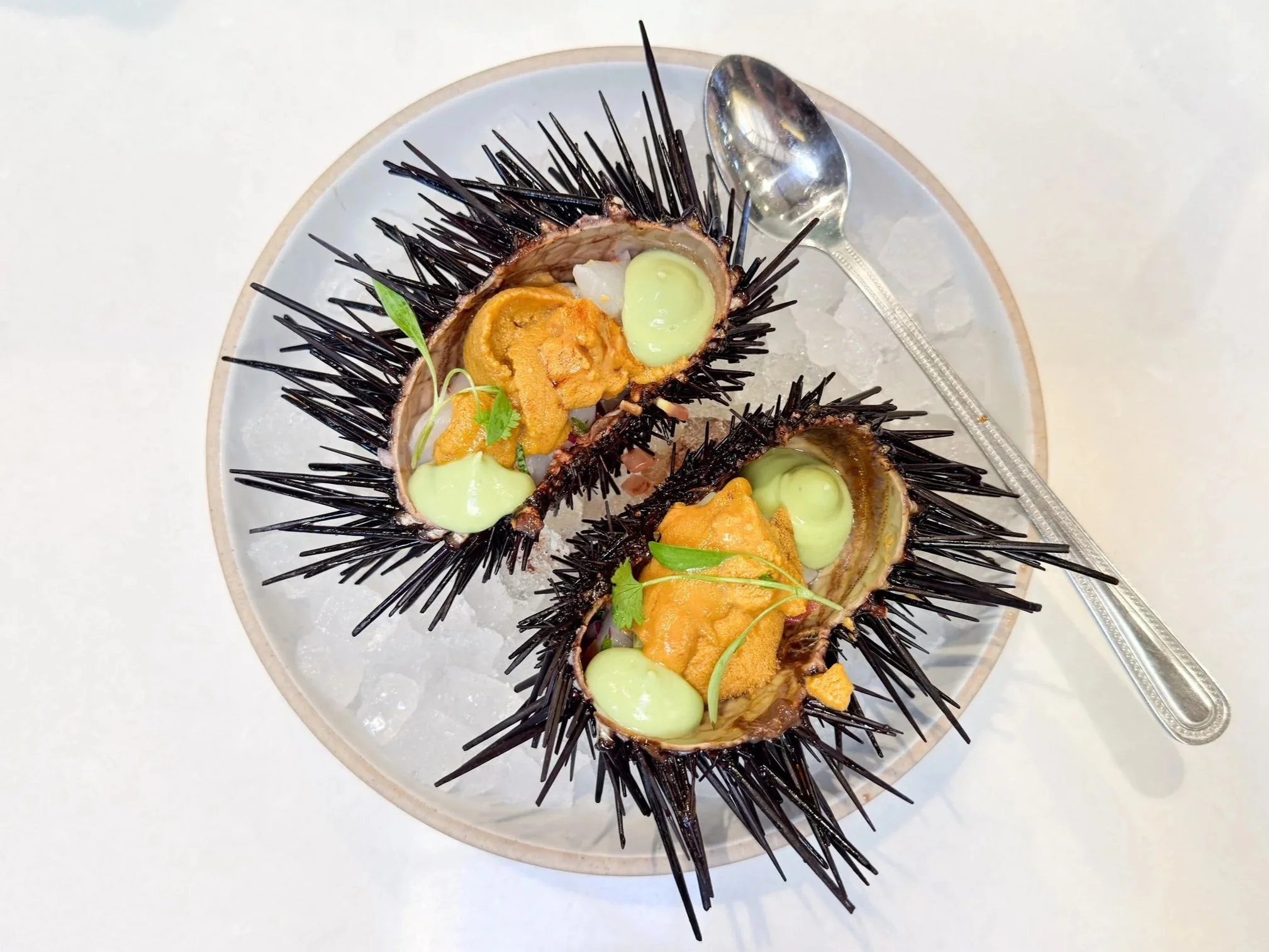 Tourniert: Westküste, Golfküste