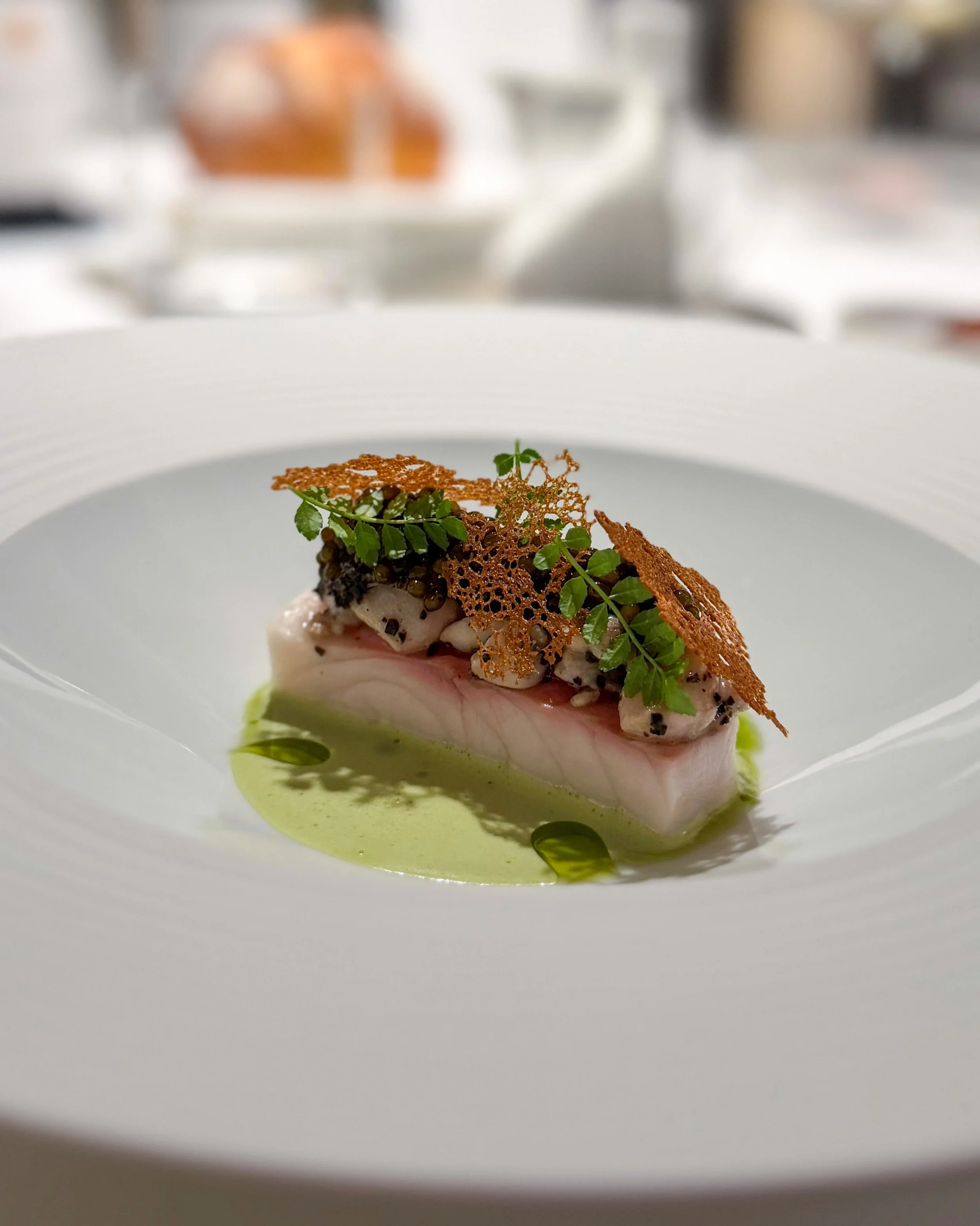 Sturgeon, frog's legs, black truffle, wild garlic.

At Germany's latest three-Michelin-starred restaurant L.A. Jordan in Deidesheim. 
&mdash; 
#sturgeon #threemichelinstars