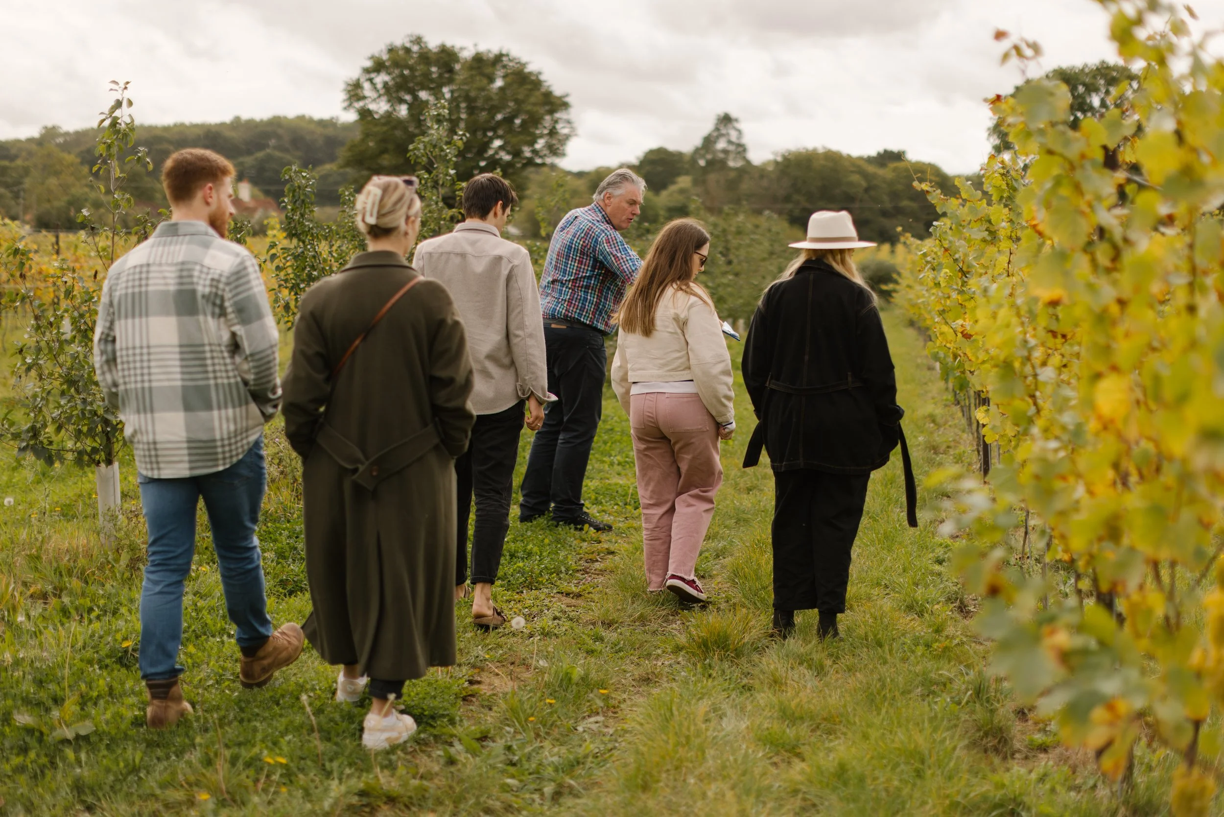 Winery walking tours