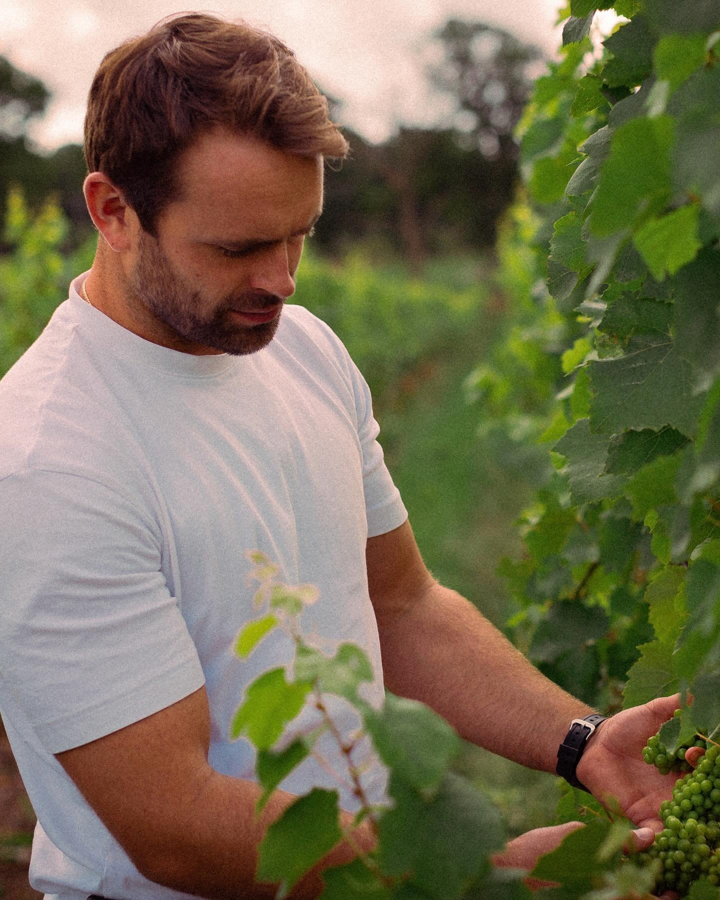 Wine, in all its forms - from growing it, to producing it, to showcasing it, is the beating heart of Kinsbrook. 

No matter how busy we get or how many fun events we line up for you, we always have to remind ourselves that it has to ultimately come b