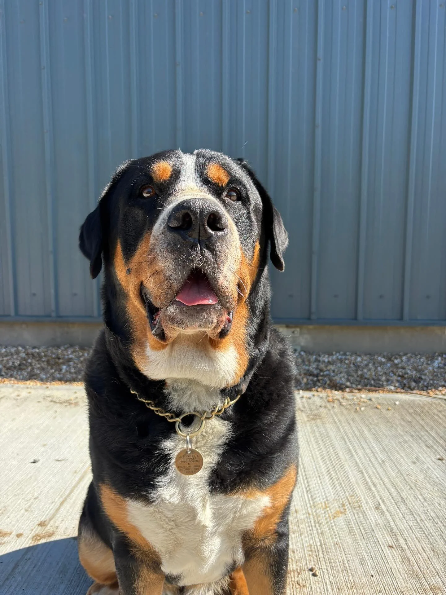 HARVEST &lsquo;25: WE NEED YOUR HELP

Harvest at Kinsbrook begins this weekend and as you can see Leon is very excited about it. 

As we embark on the earliest harvest we have ever done, we&rsquo;re both excited and slightly apprehensive as we prepar