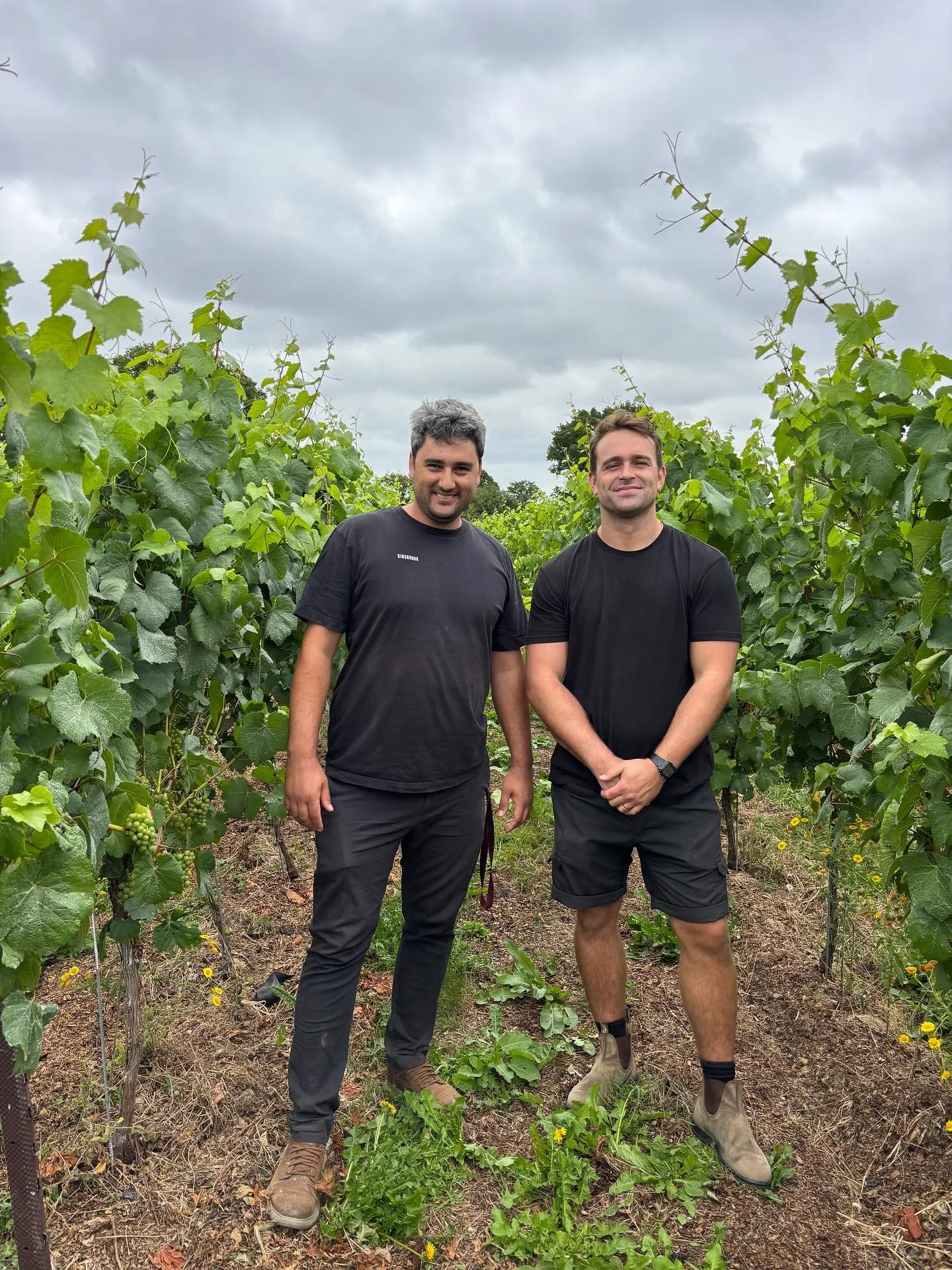 AUGUST AT KINSBROOK 

We&rsquo;re about to wave goodbye to one of our favourite months at Kinsbrook: August. This one has been a month for the books, with the highest footfall at the vineyard we have ever had, colourful flower gardens and beautifully