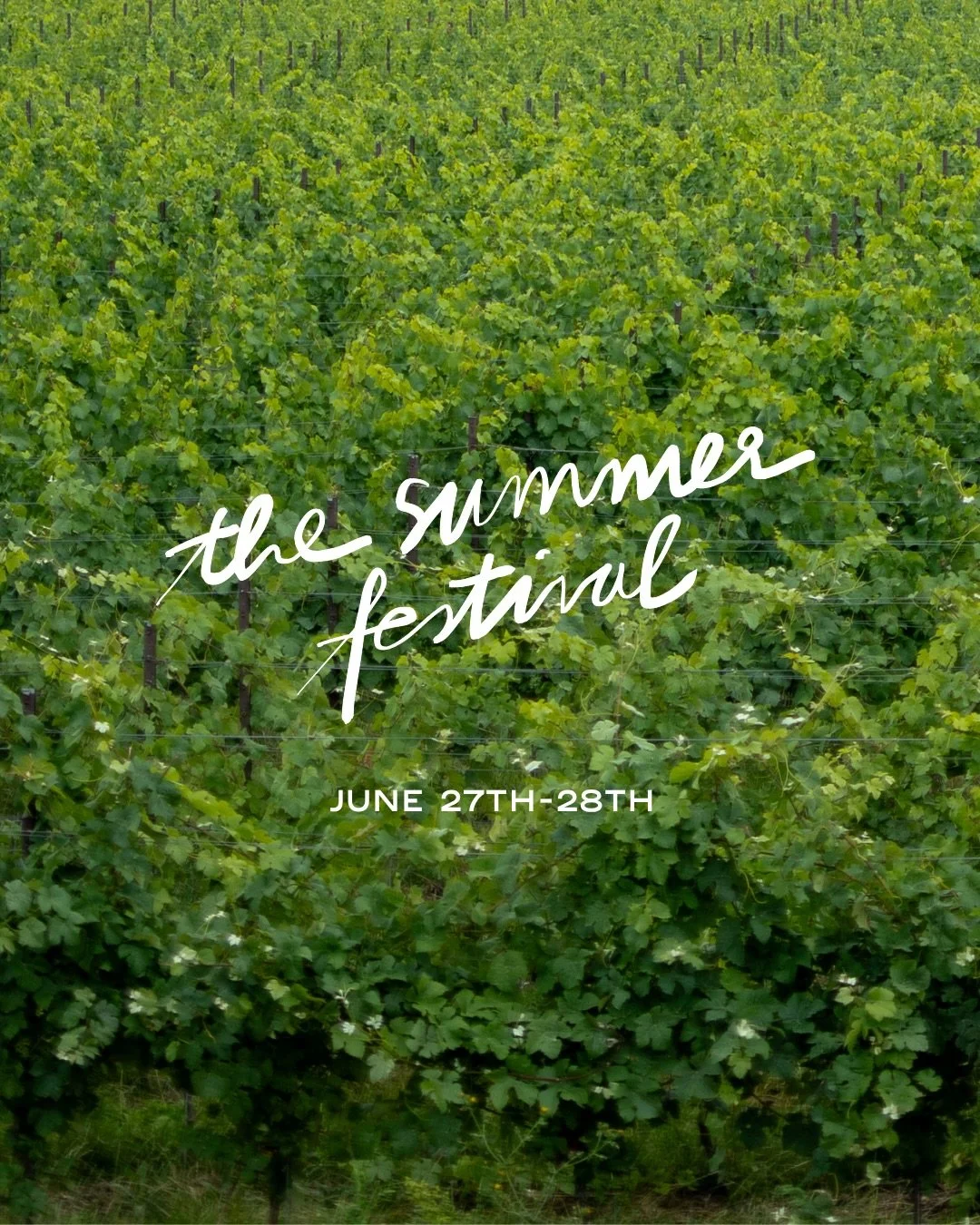 WE&rsquo;RE LIVE: THE SUMMER FESTIVAL 2026

We are super excited to formally announce the release of tickets for Kinsbrook&rsquo;s Summer Festival 2026.

After the success and positive feedback of last year, we decided that this year, we really shoul