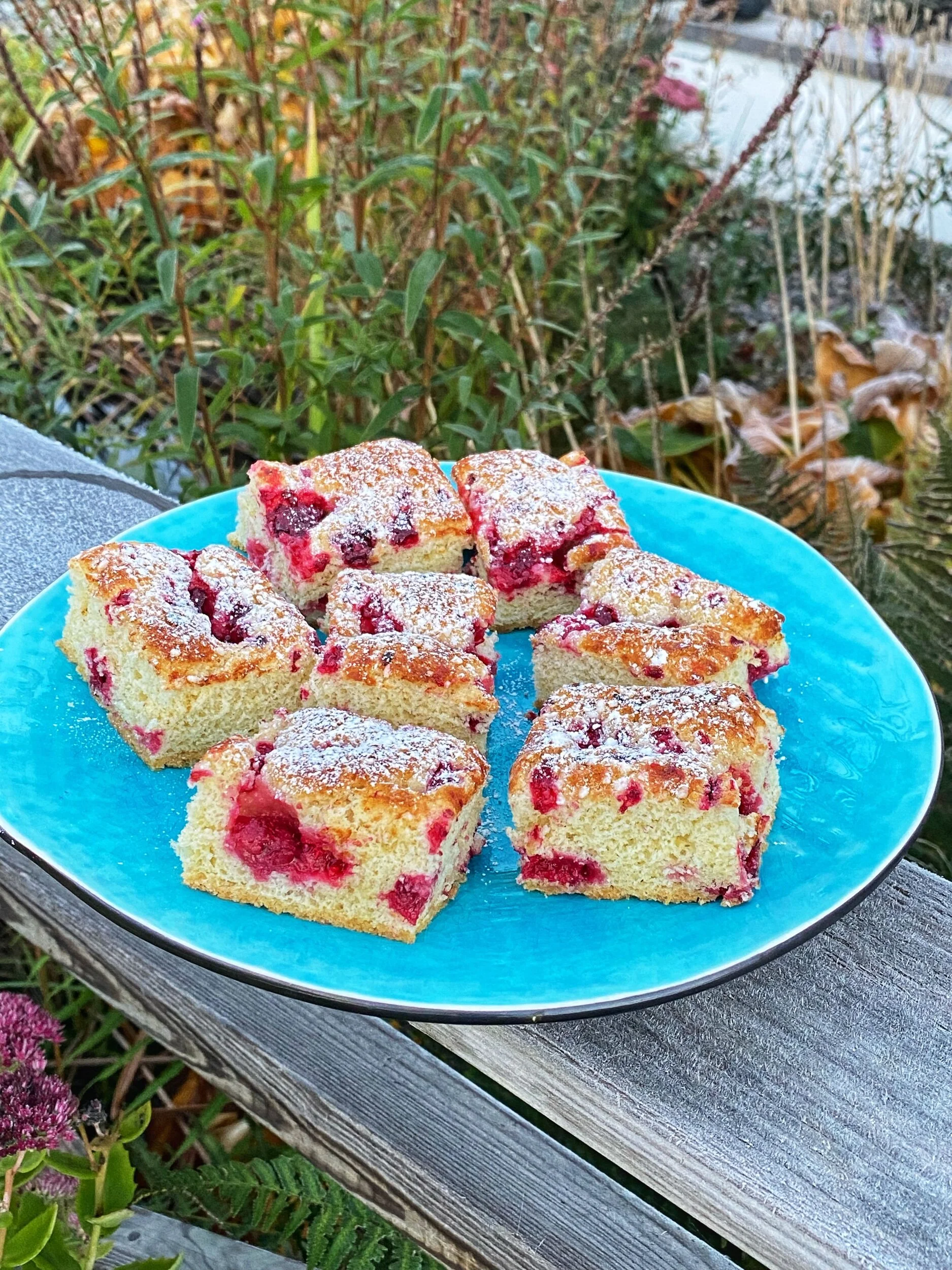 Hallonrutor i långpanna 