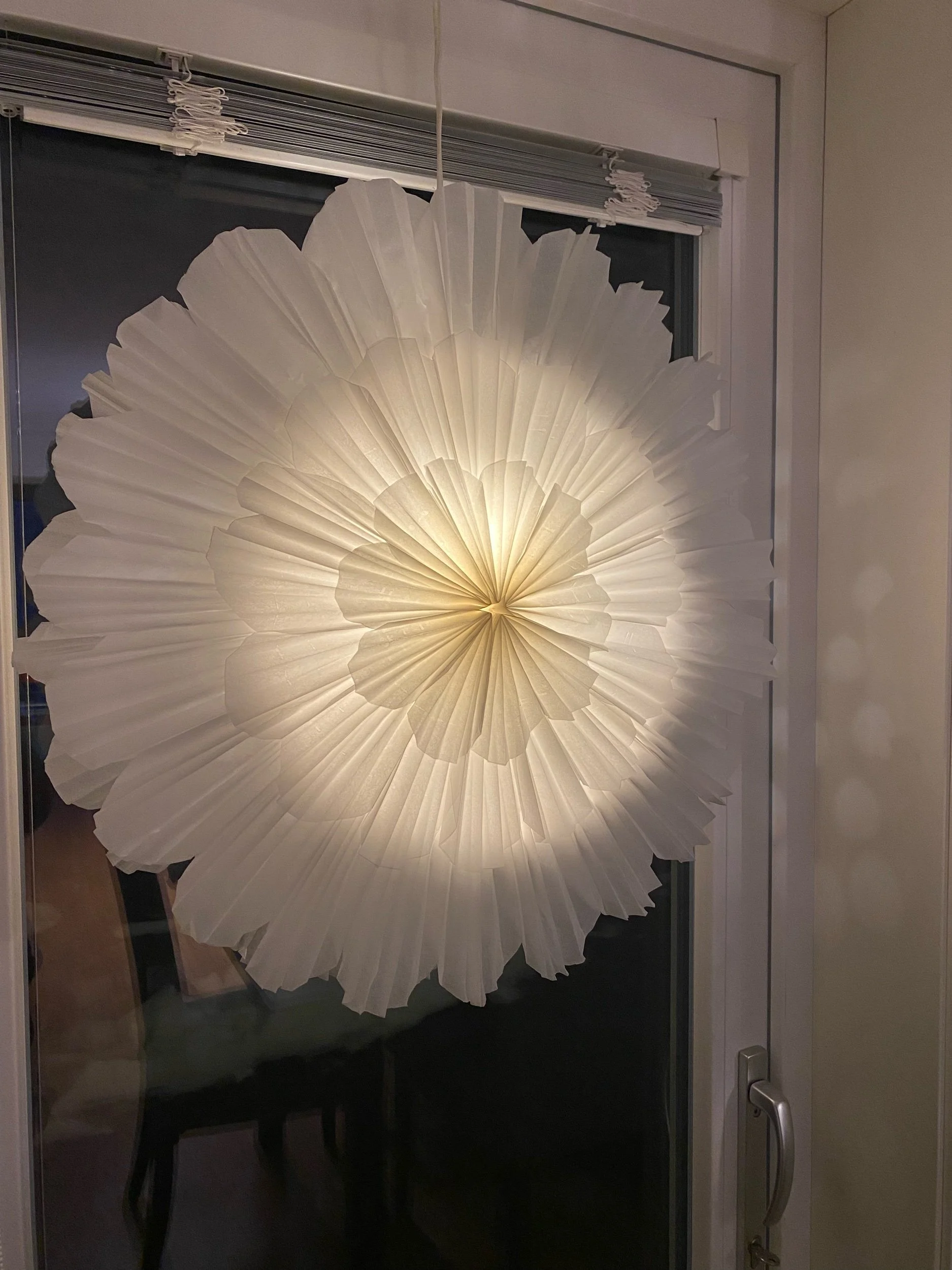 Gör din egen Snöblomma diy