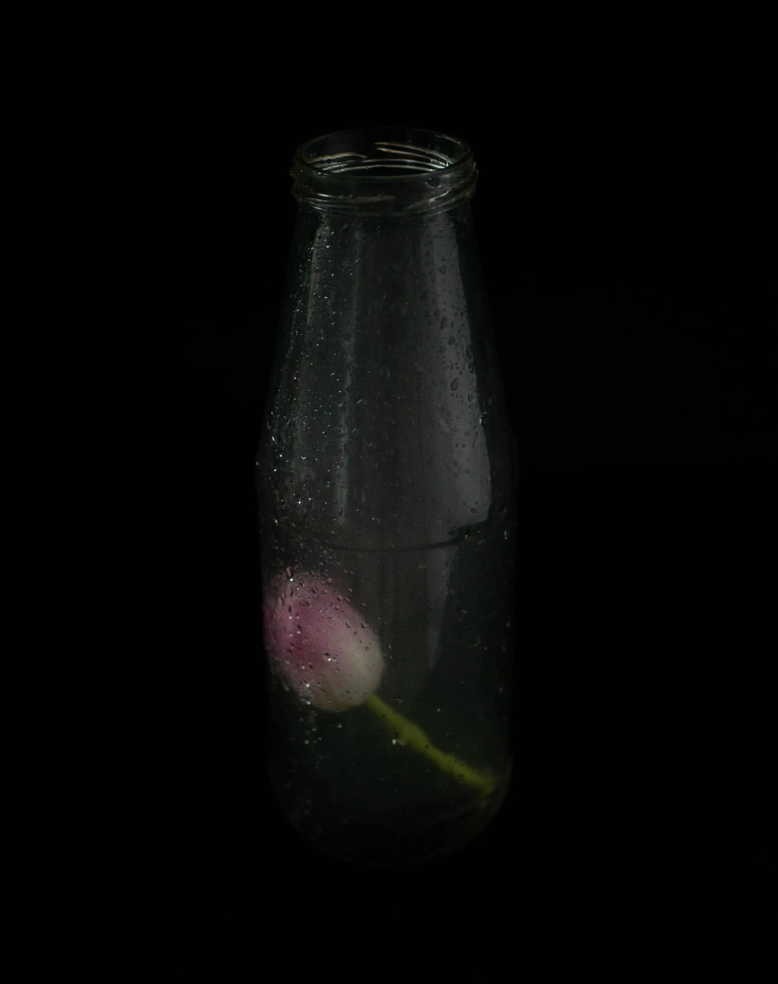 P1770508-2.jpg
