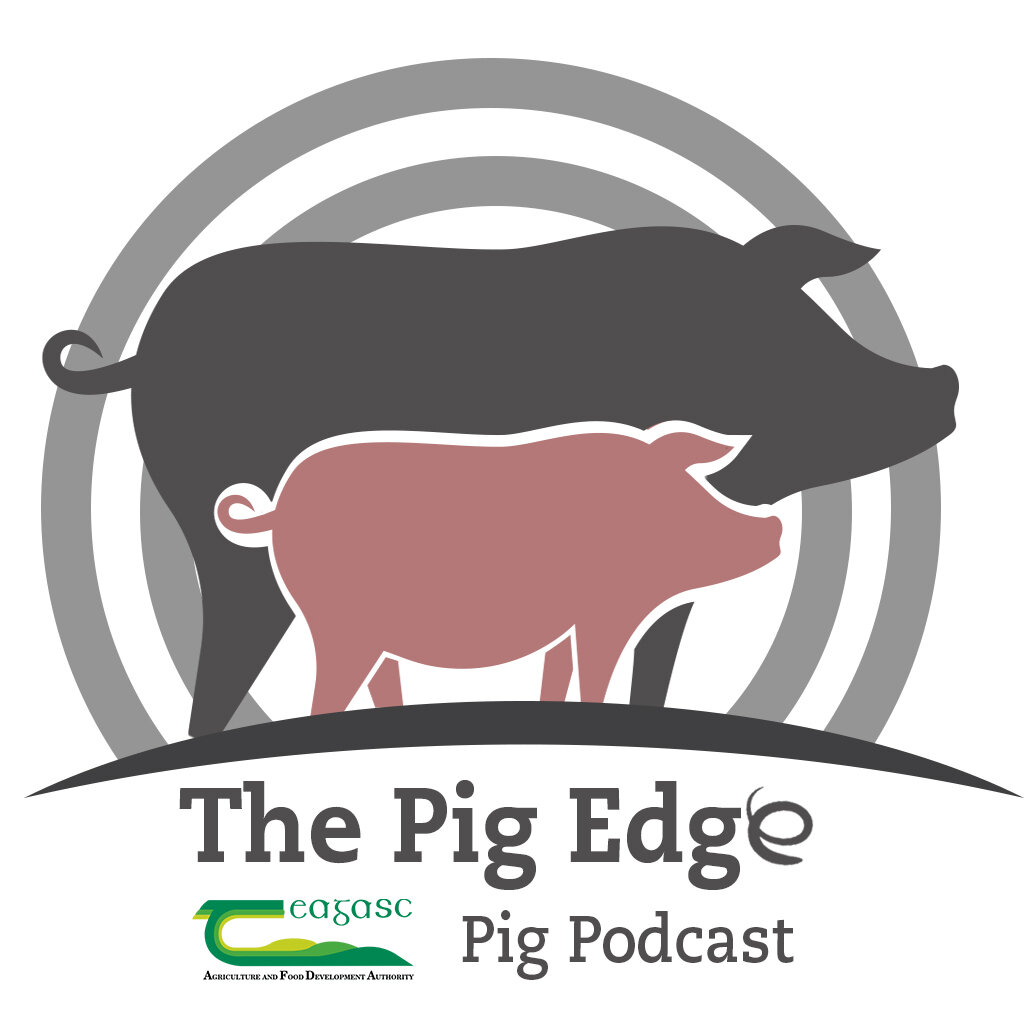 The Pig Edge Logo.jpg