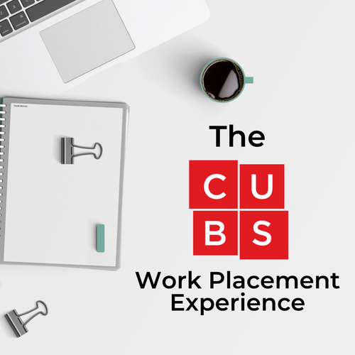 TheCUBSWorkPlacementExperienceCover.webp