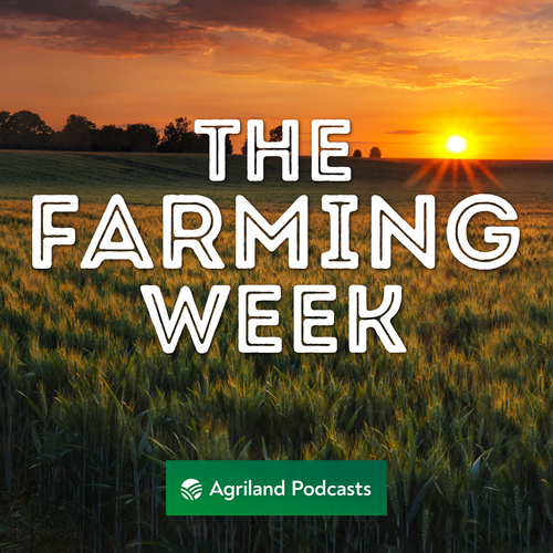 Show_Cover-TheFarmingWeek.webp