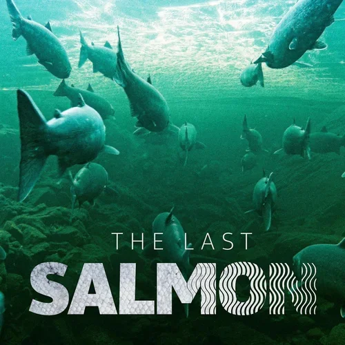   The Last Salmon   Hosted by renowned actor, Jim Murray &amp; Daire Whelan, it offers hope and solutions to the tragic story that is unfolding for an iconic species - the wild Atlantic salmon.  Listen on  Apple  or  Spotify.  