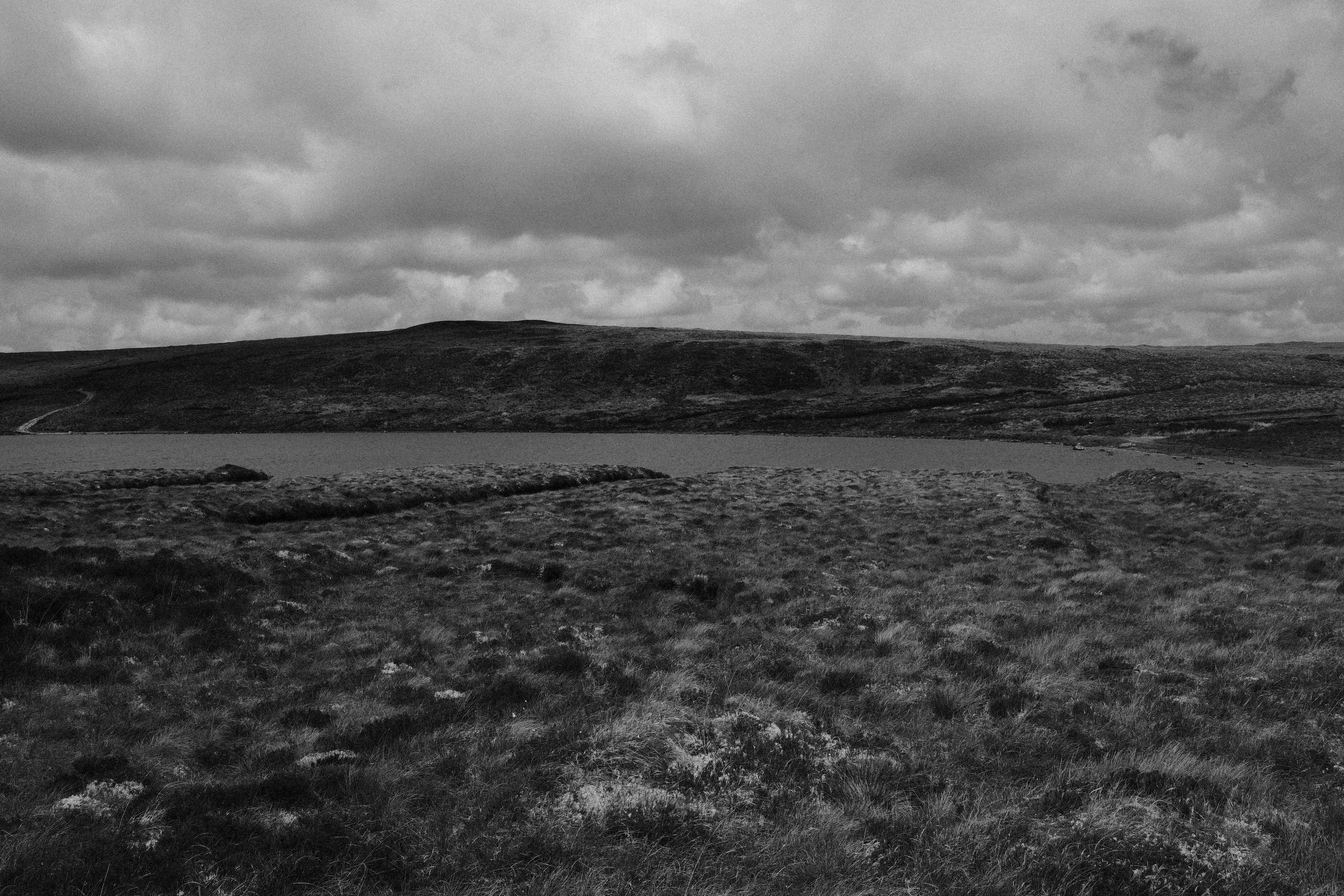 DSCF4290-2.jpg