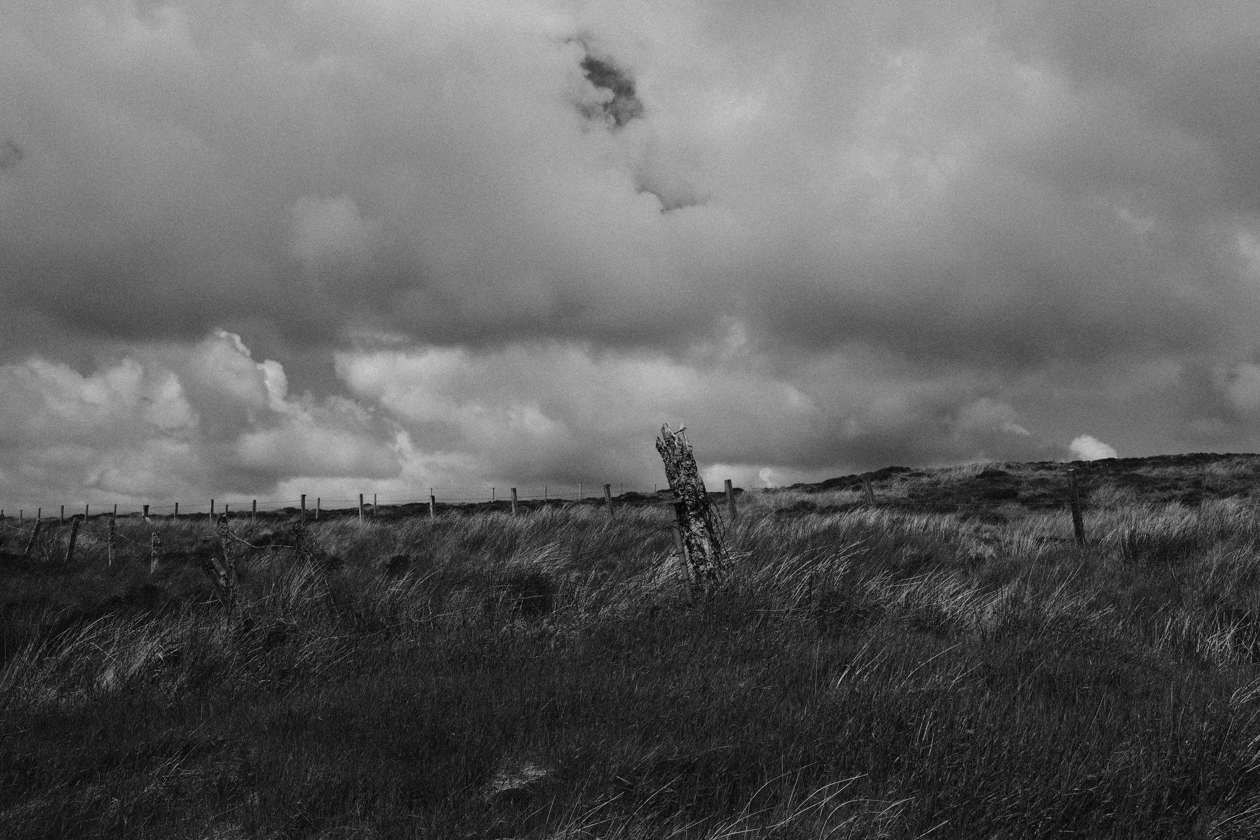DSCF4298-2.jpg