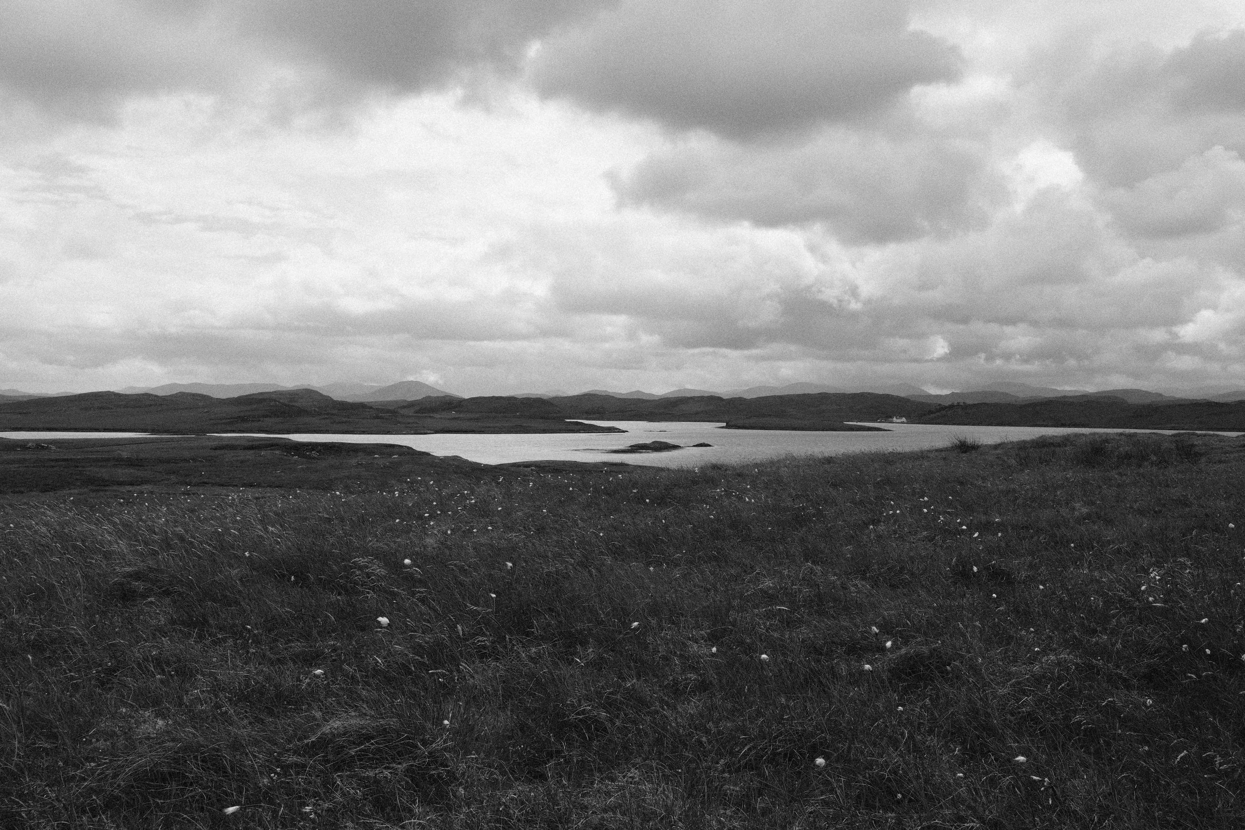 DSCF4337-2.jpg