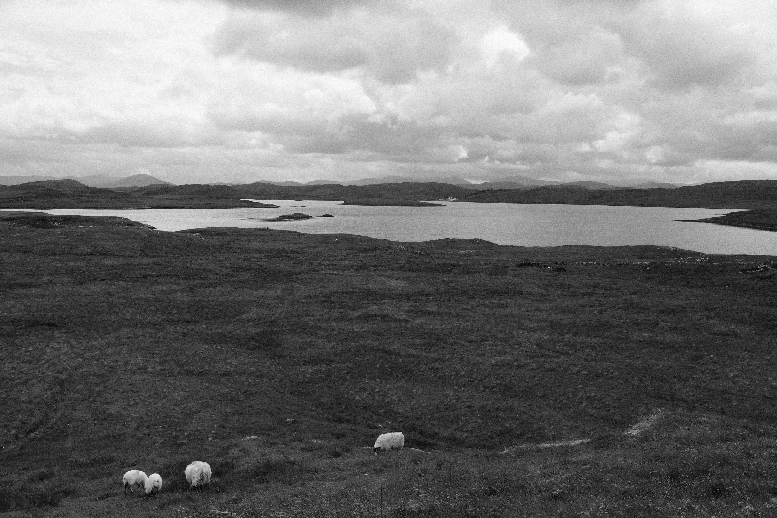 DSCF4340-2.jpg