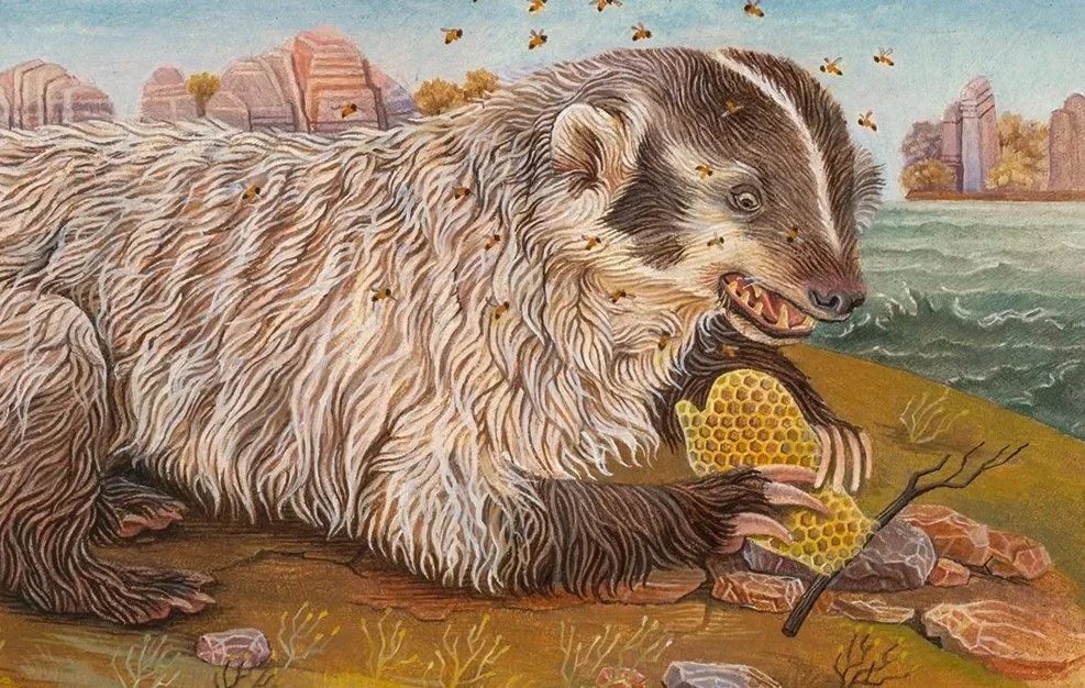 Badger.jpg